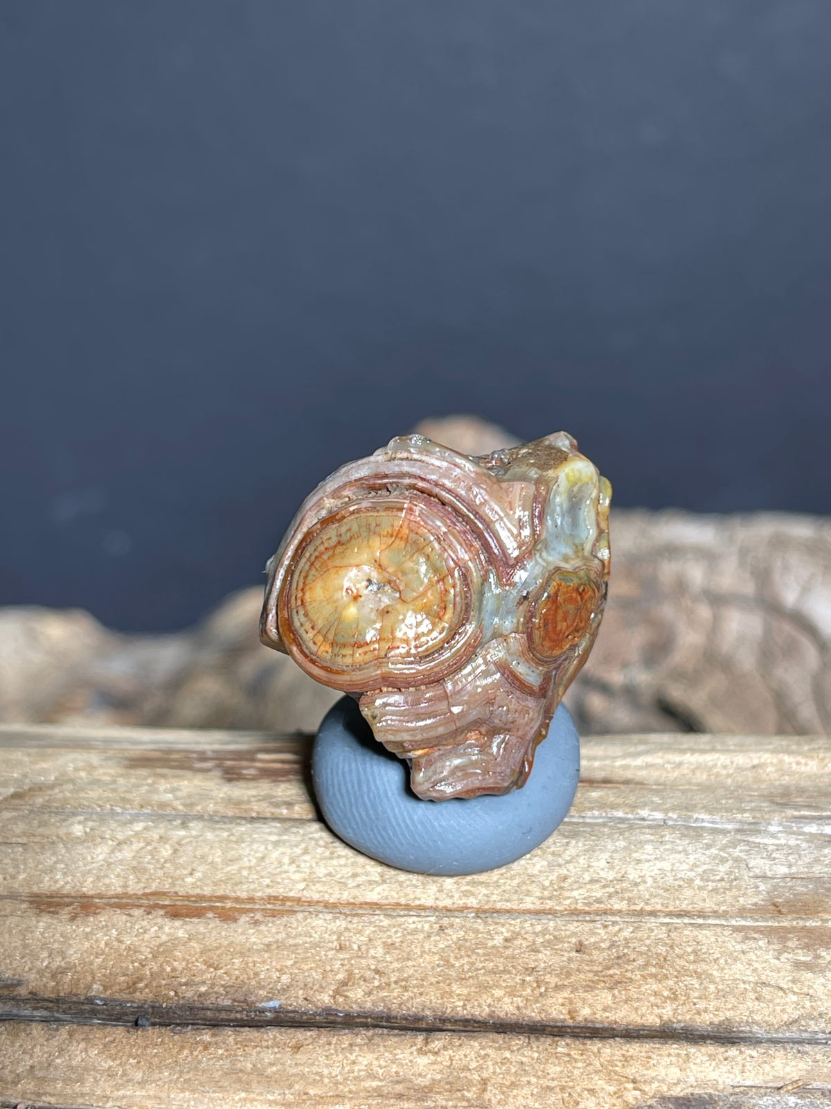 (1026)Natural Alxa Gobi Eye Agate - Multi-Eye Stone with Large Concentric Eye