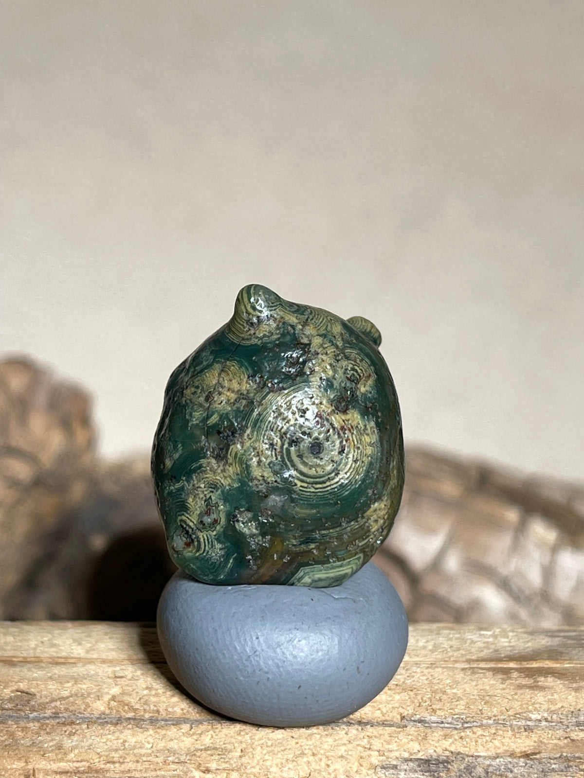 (1116)Natural Alxa Gobi Green Eye Agate - Multiple Concentric Orbicular Patterns