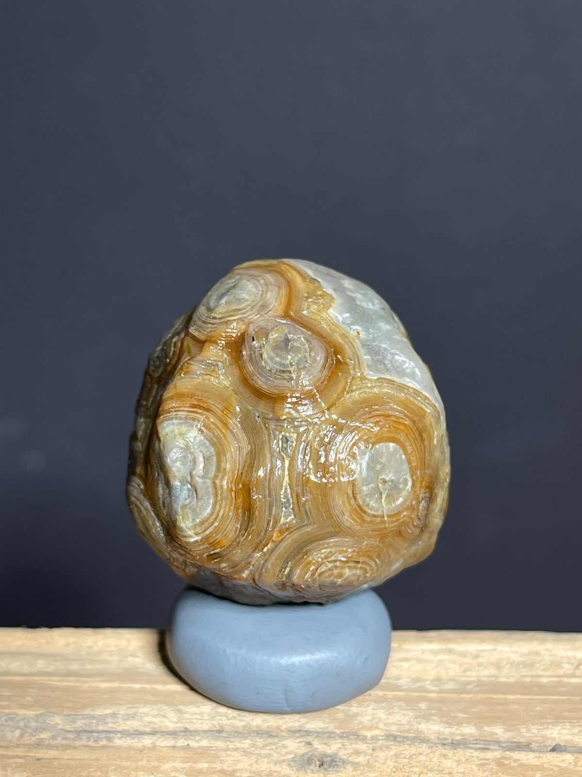 (1138) Natural Alxa Gobi Eye — Concentric Orbicular Banding