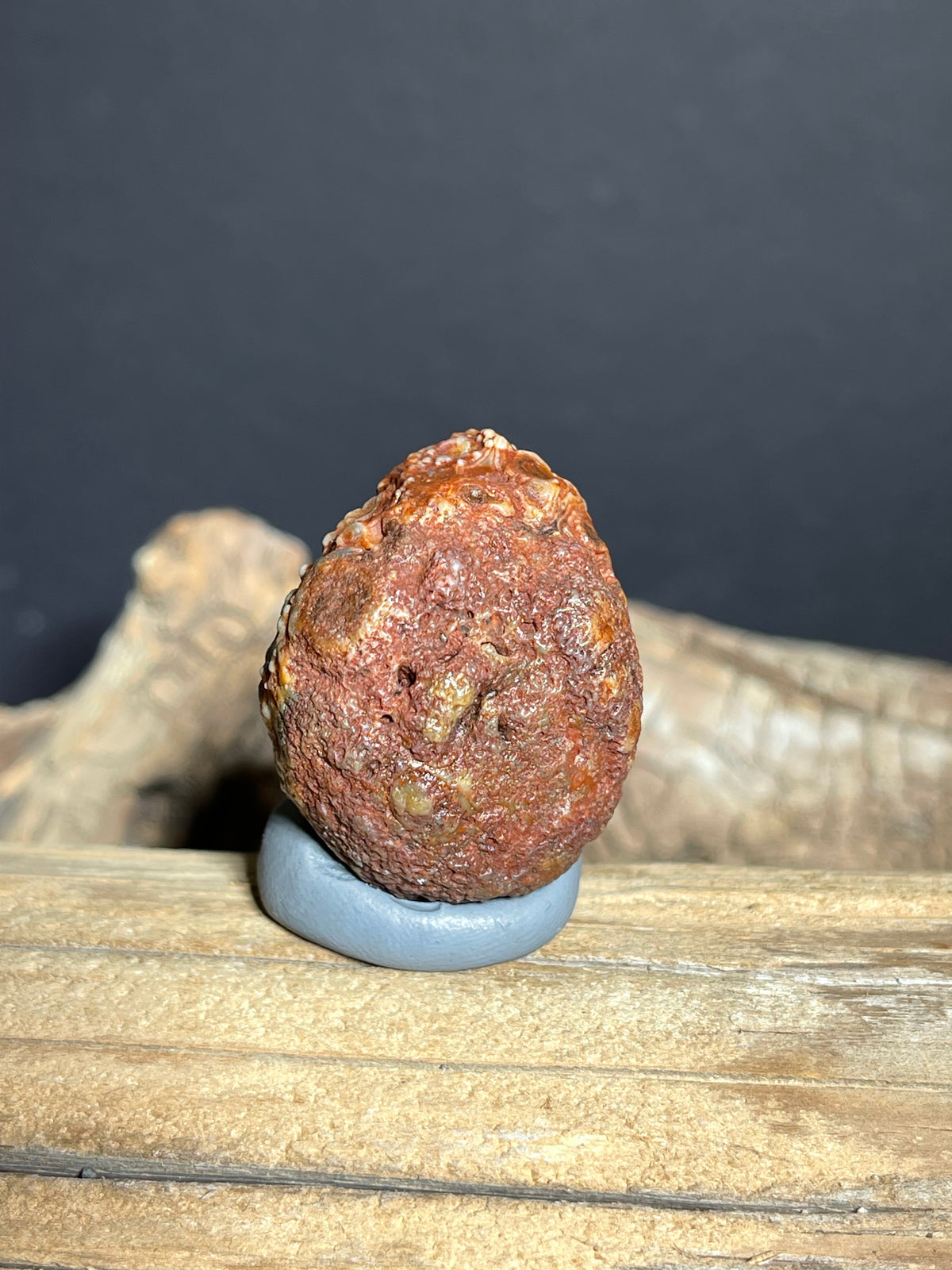 (1128) Natural Alxa Gobi Red Eye Agate- Botryoidal Texture& Multiple Orbicular Eyes