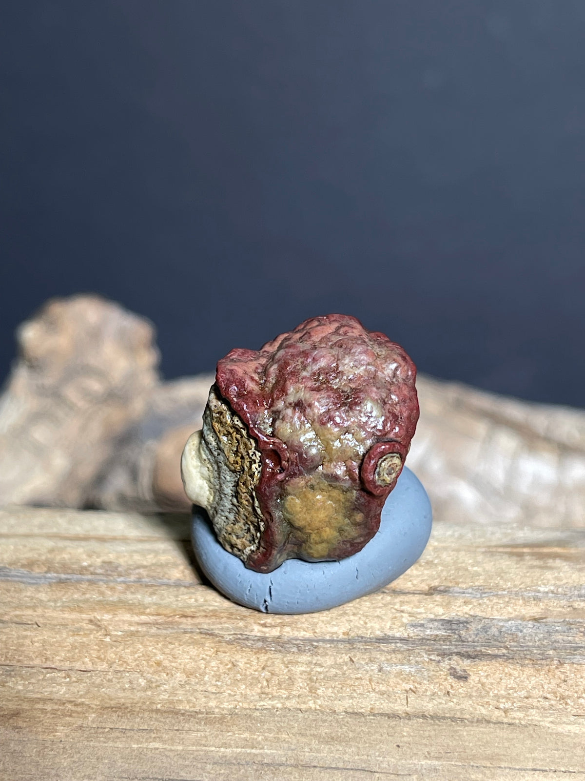 (1089)Natural Alxa Gobi Eye Agate - Double Raised Eyes, Owl-Like Form