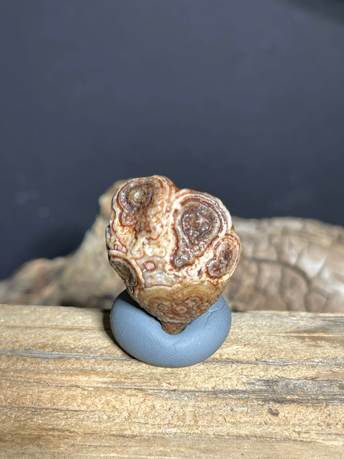 (1103)Alxa Gobi Desert Eye Agate - Natural Multi-Eye Orbicular Agate with Concentric Rosette