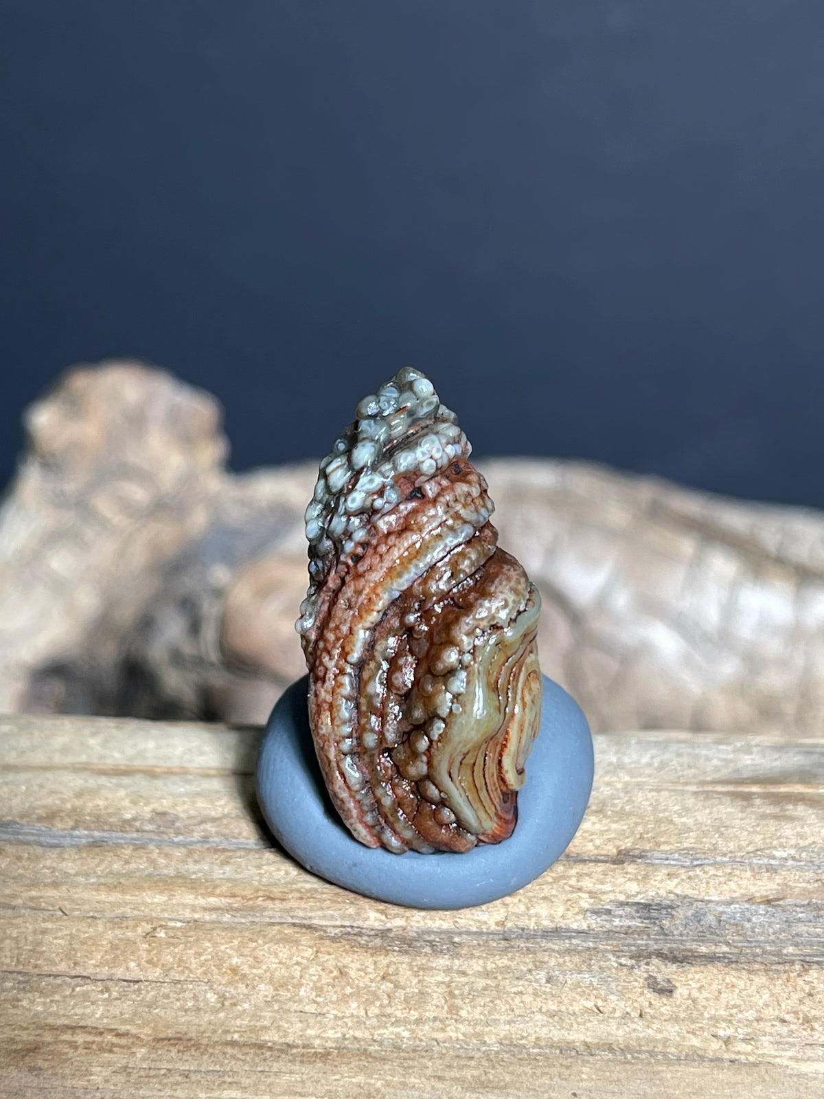 (1083)Natural Alxa Gobi Eye Agate - Large Raised Orbicular Eye with Botryoidal Texture