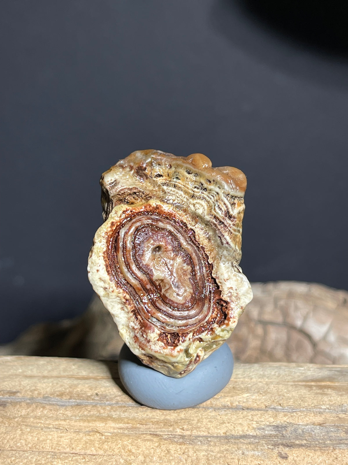 (1100)Natural Alxa Gobi Eye Agate - Large Oval Concentric Eye with Layered Banding