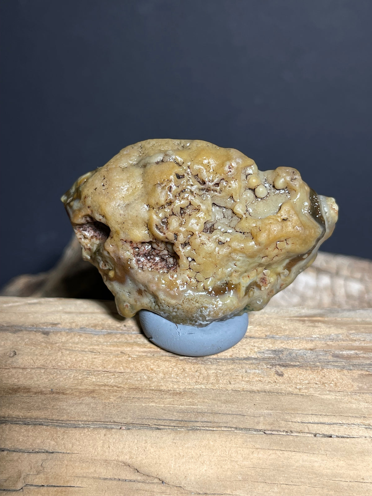(1095)Natural Alxa Gobi Agate - Golden Botryoidal Desert Specimen