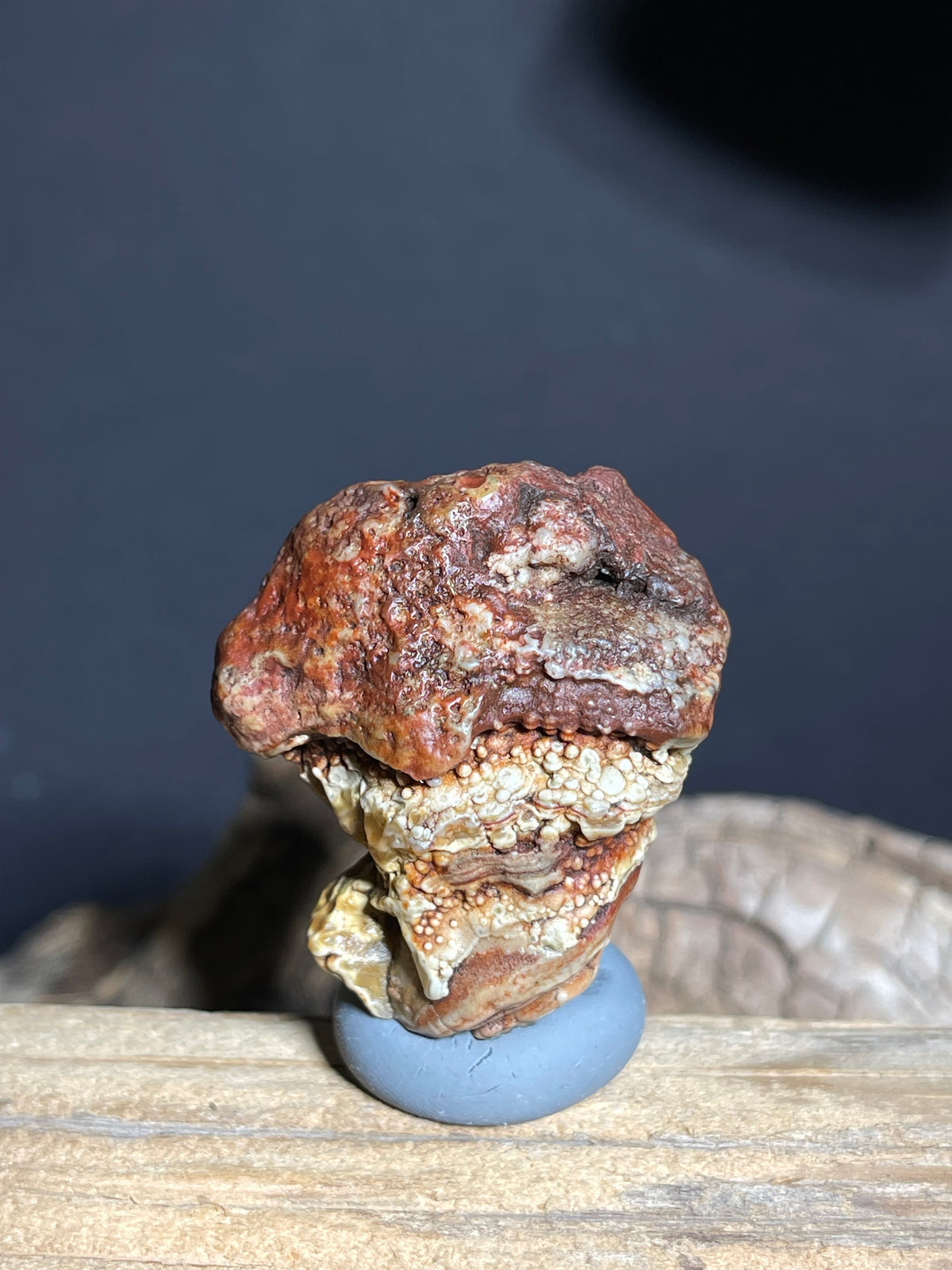 (1101)Natural Alxa Gobi Eye Agate - Sculptural Concentric Eye & Botryoidal Texture
