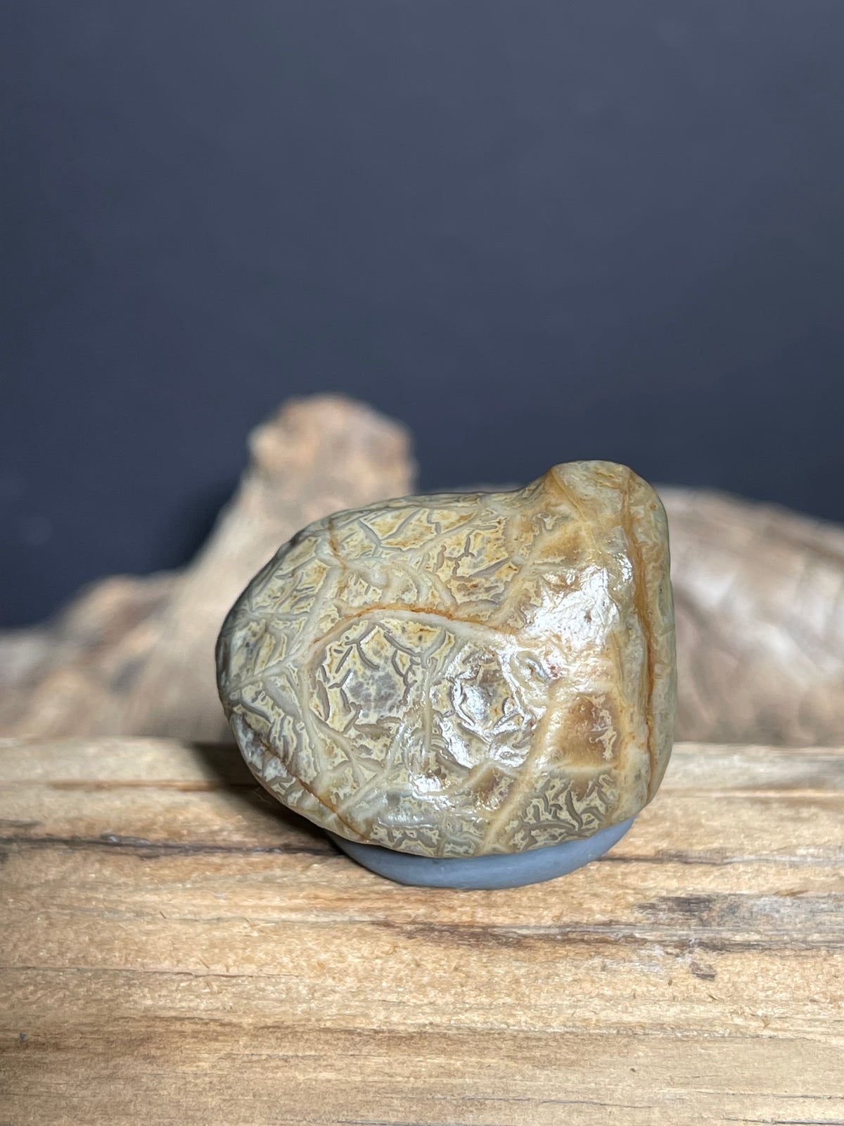 (1038)Natural Alxa Gobi Vein Agate - Intricate Maze-Like patterns