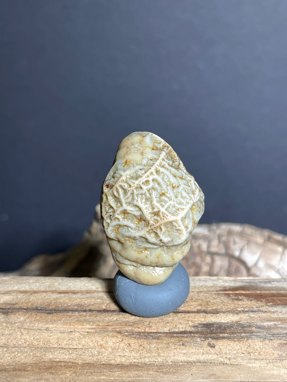 (1004)Natural Alxa Gobi Vein Agate with Lattice Pattern