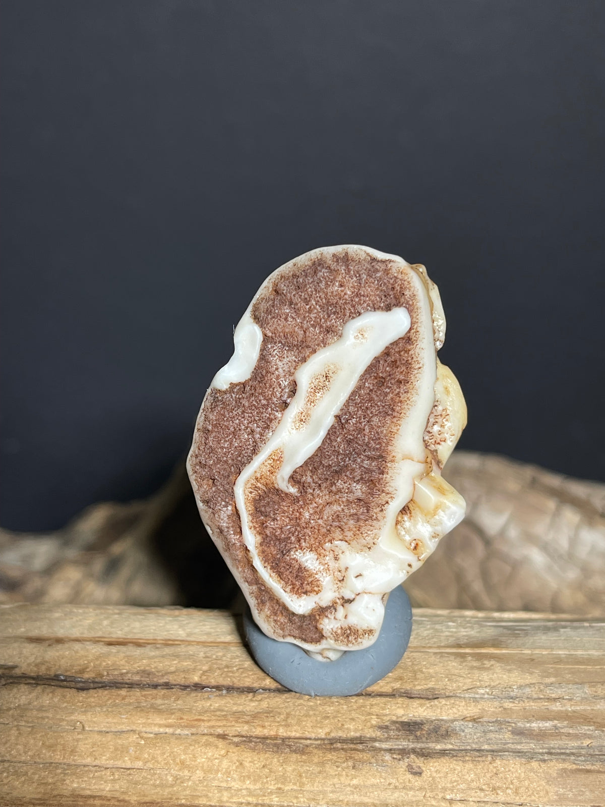 (1012)Natural Alxa Gobi Agate - Brown & Cream Two-sided Desert Varnished Stone