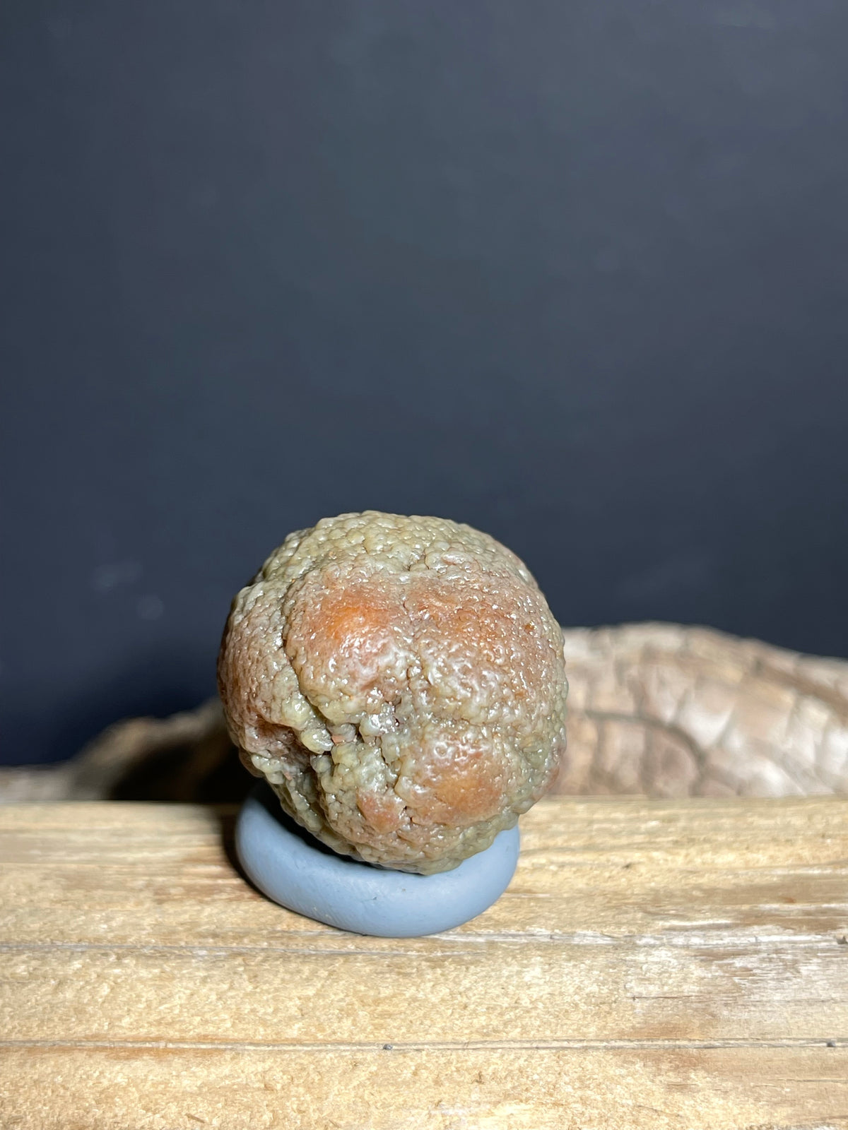 (1120) Natural Alxa Gobi Agate– Botryoidal Texture with Raised Reddish-Brown Nodules