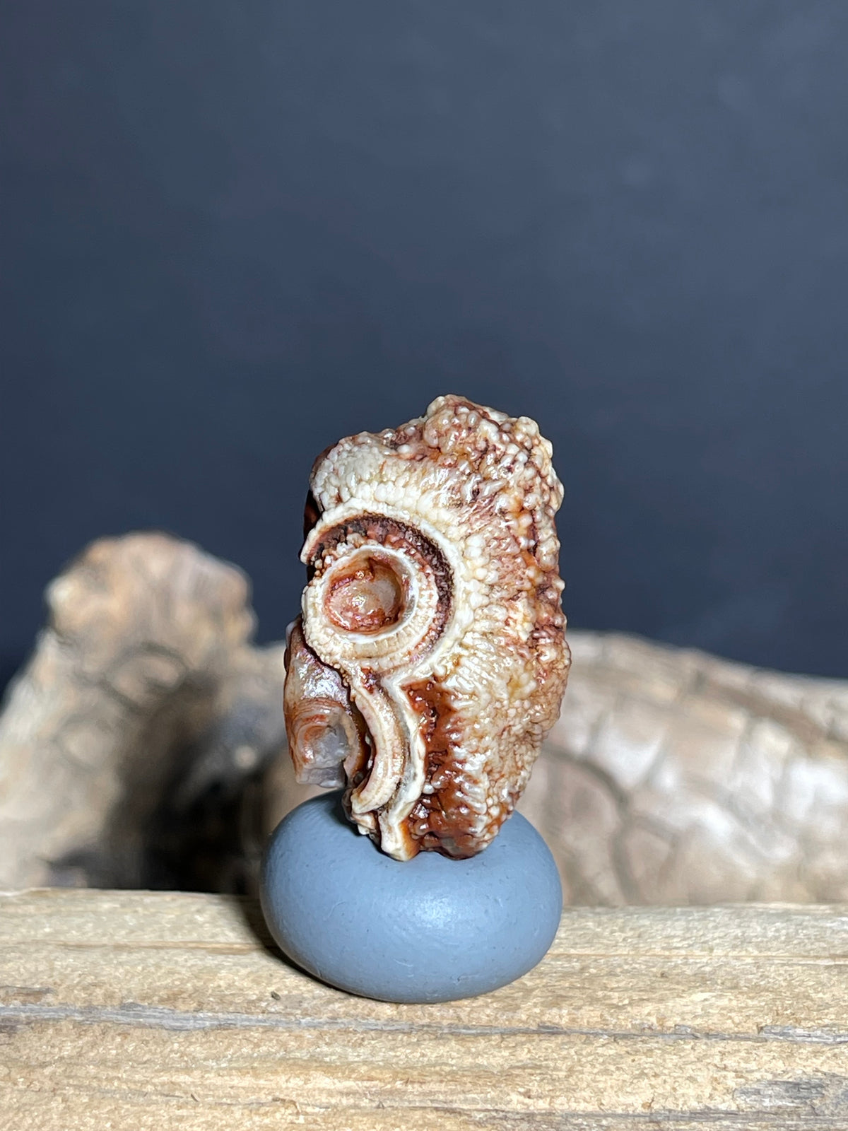(1094)Natural Alxa Gobi Eye Agate - Human-Like silhouette