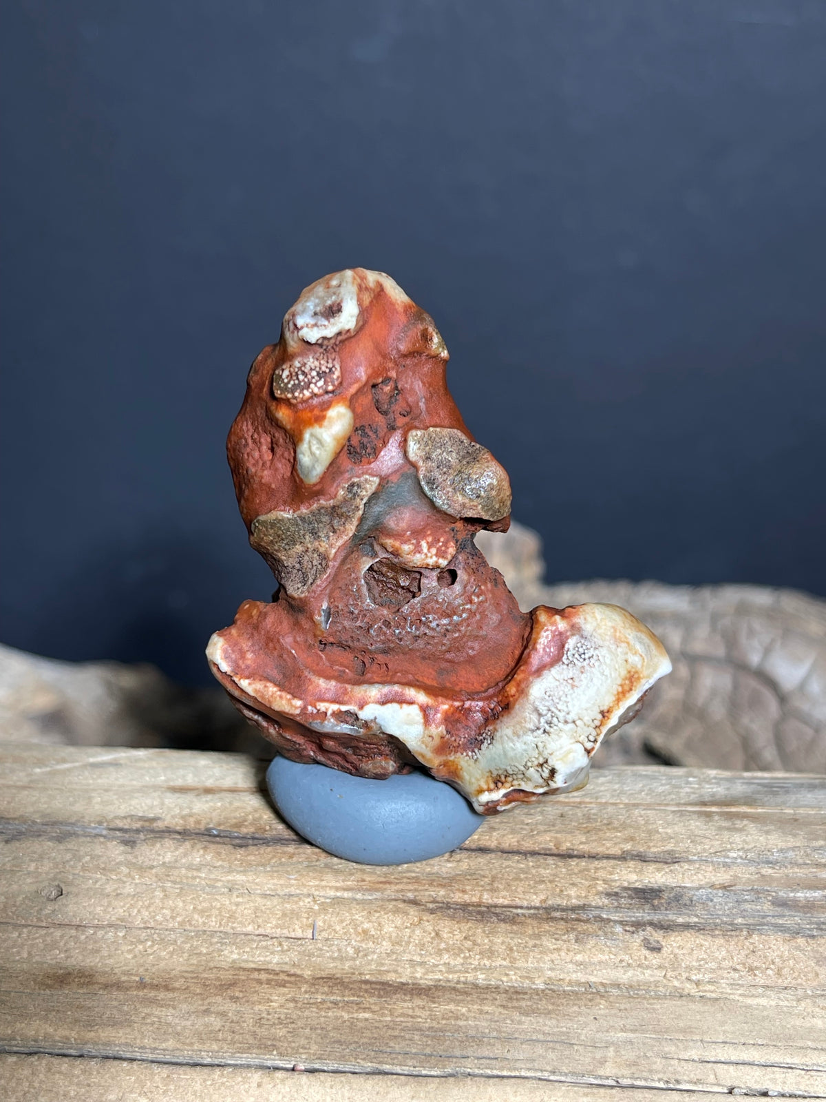 (1023)Natural Alxa Gobi Eye Agate - Red Stone with Large Concentric Eye