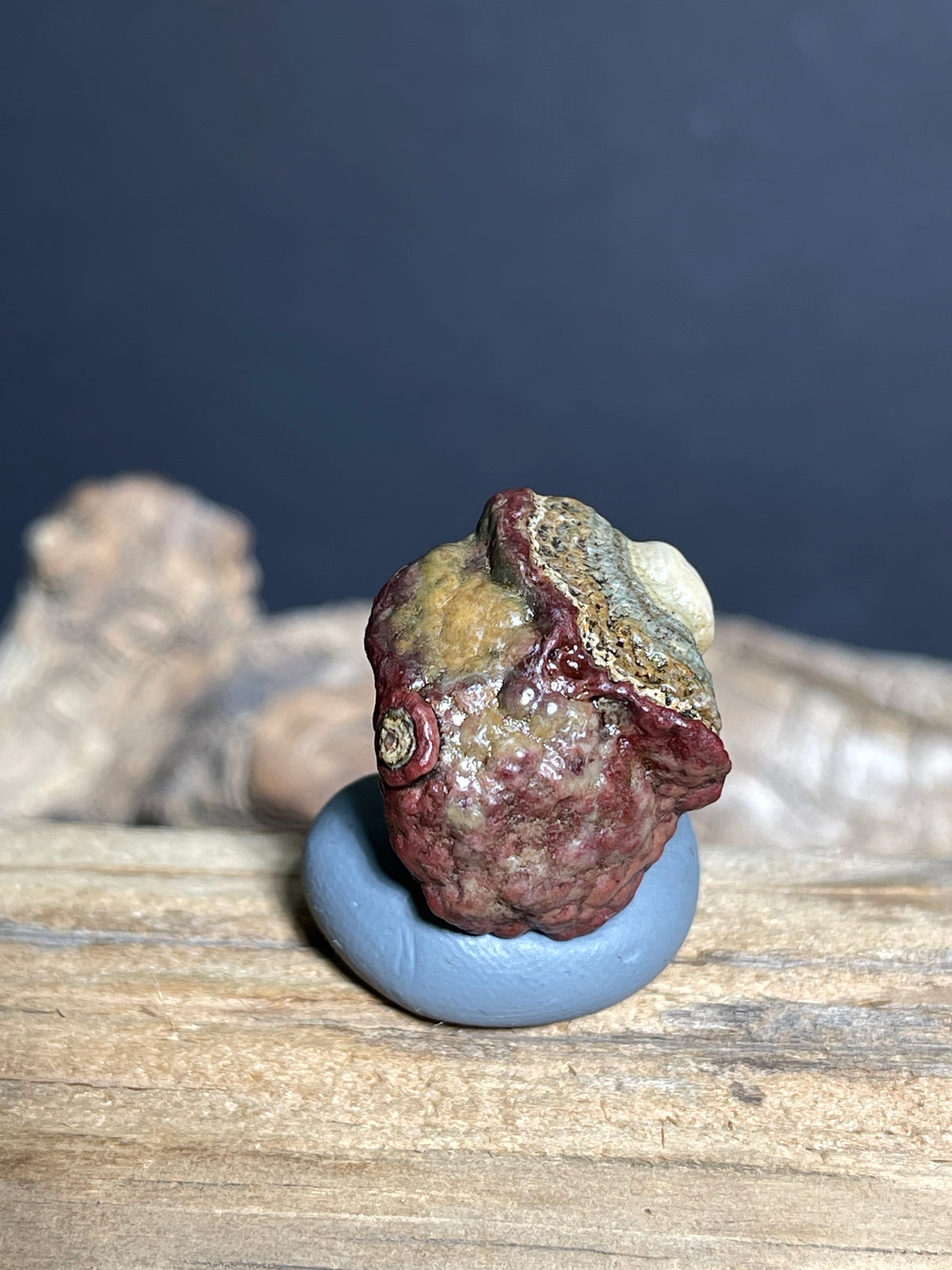 (1089)Natural Alxa Gobi Eye Agate - Double Raised Eyes, Owl-Like Form