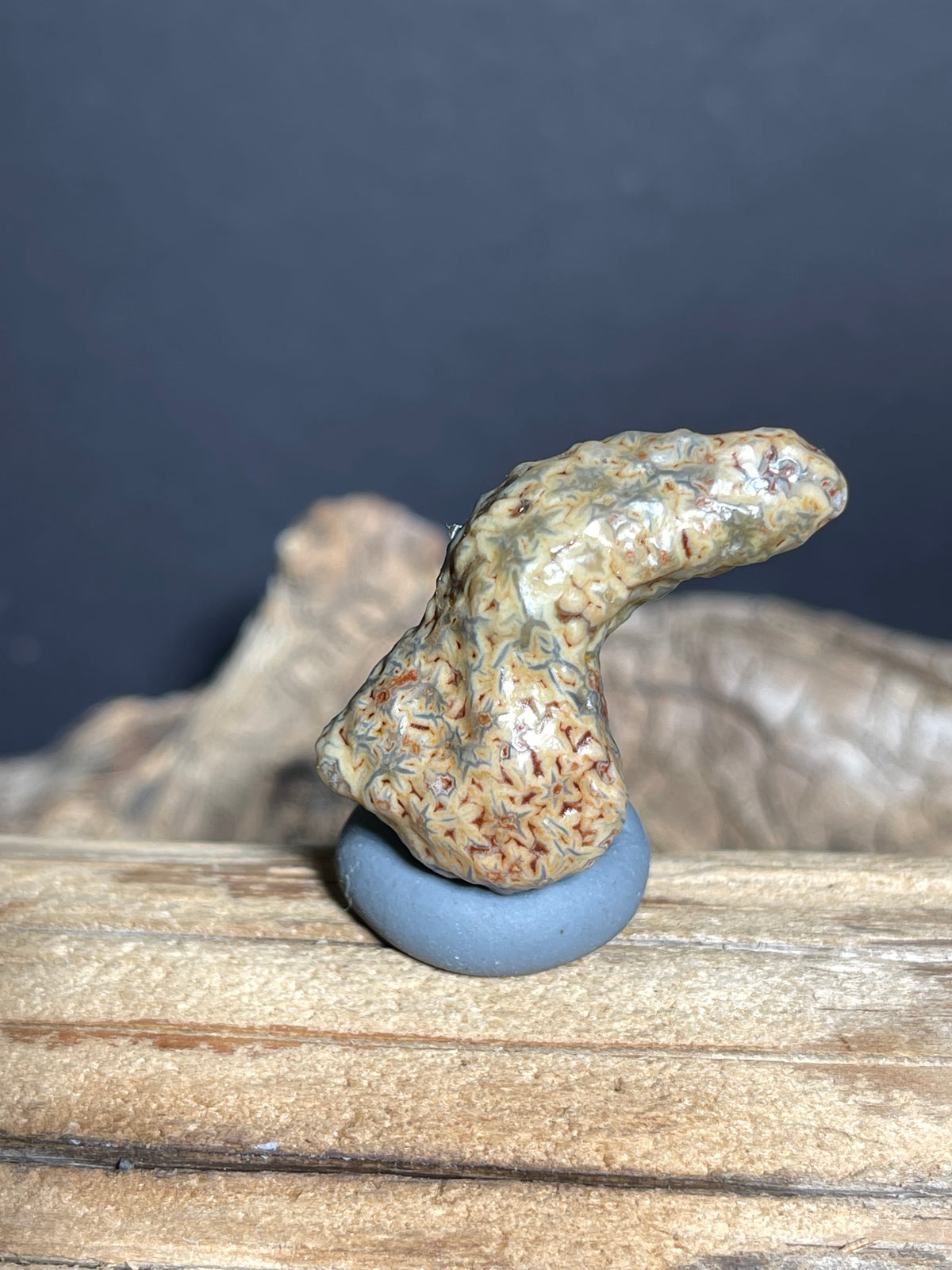 (1032)Natural Alxa Gobi Vein Agate - Curved Sculpture Stone with Intricate Patterns