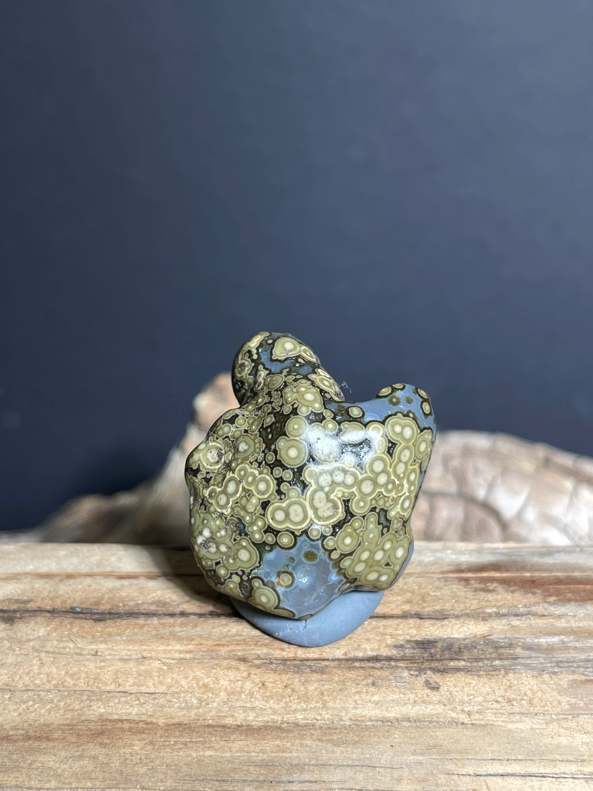(1002)Alxa Gobi Eye Agate with Animal-Like Natural Form - Zuozi Mountain