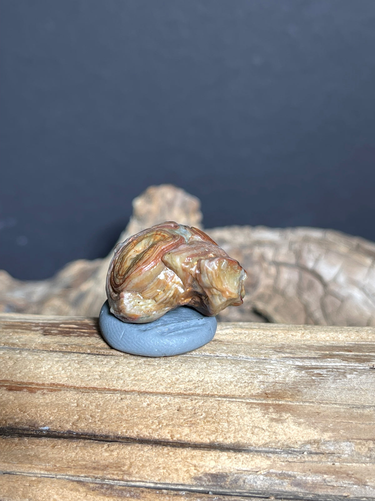 (1026)Natural Alxa Gobi Eye Agate - Multi-Eye Stone with Large Concentric Eye