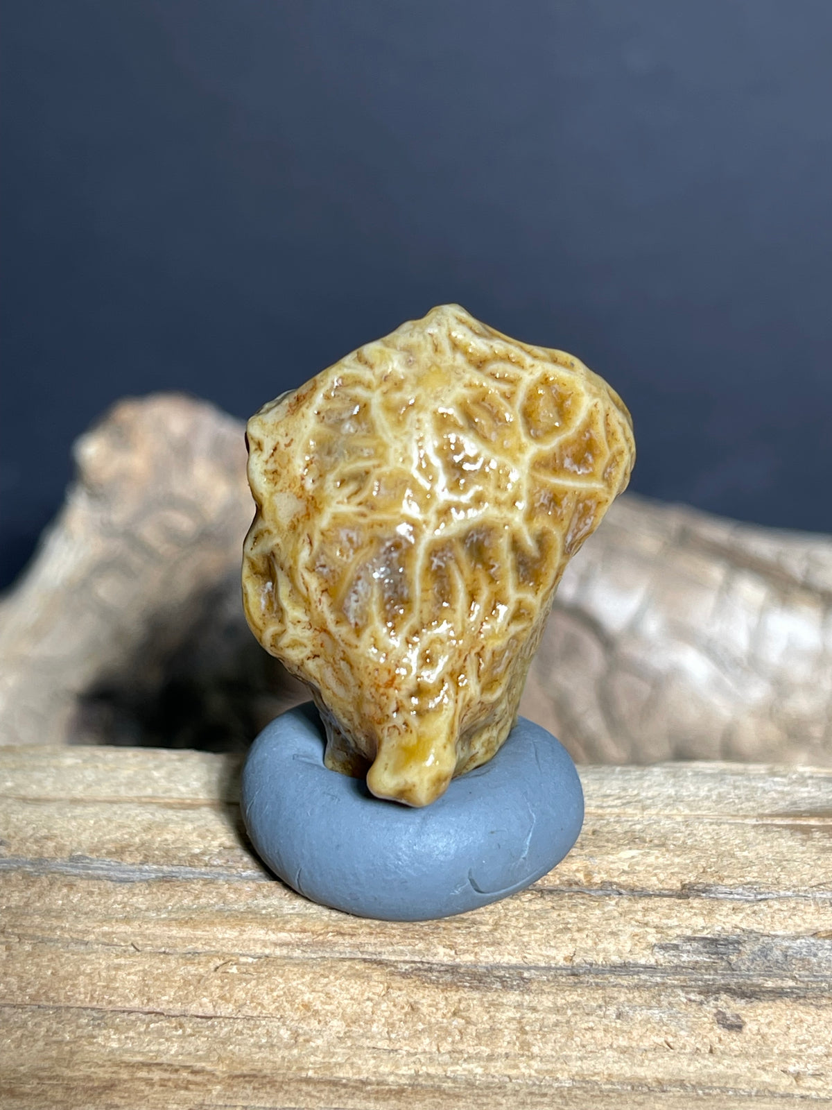 (1082)Natural Alxa Gobi Vein Agate - Golden Yellow Maze pattern