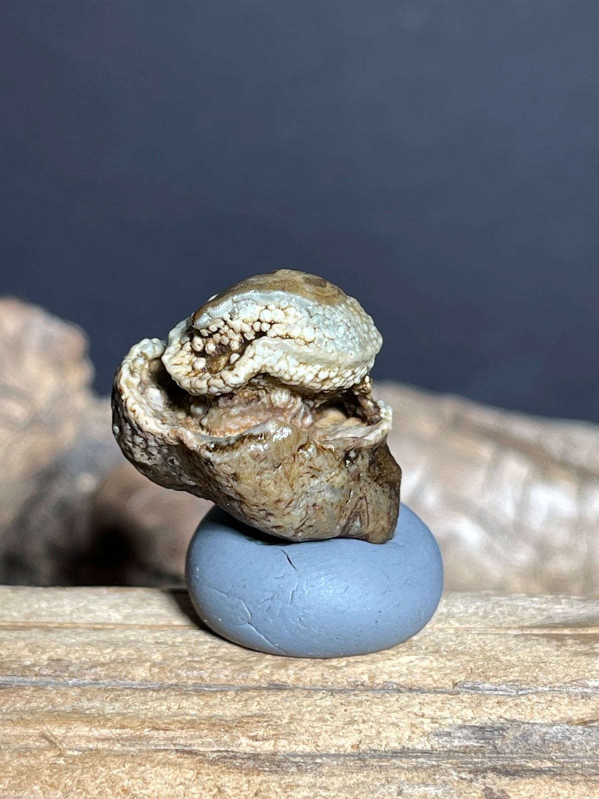 (1091)Natural Alxa Gobi Eye Agate - Buddha Figure Mimetolith Specimen