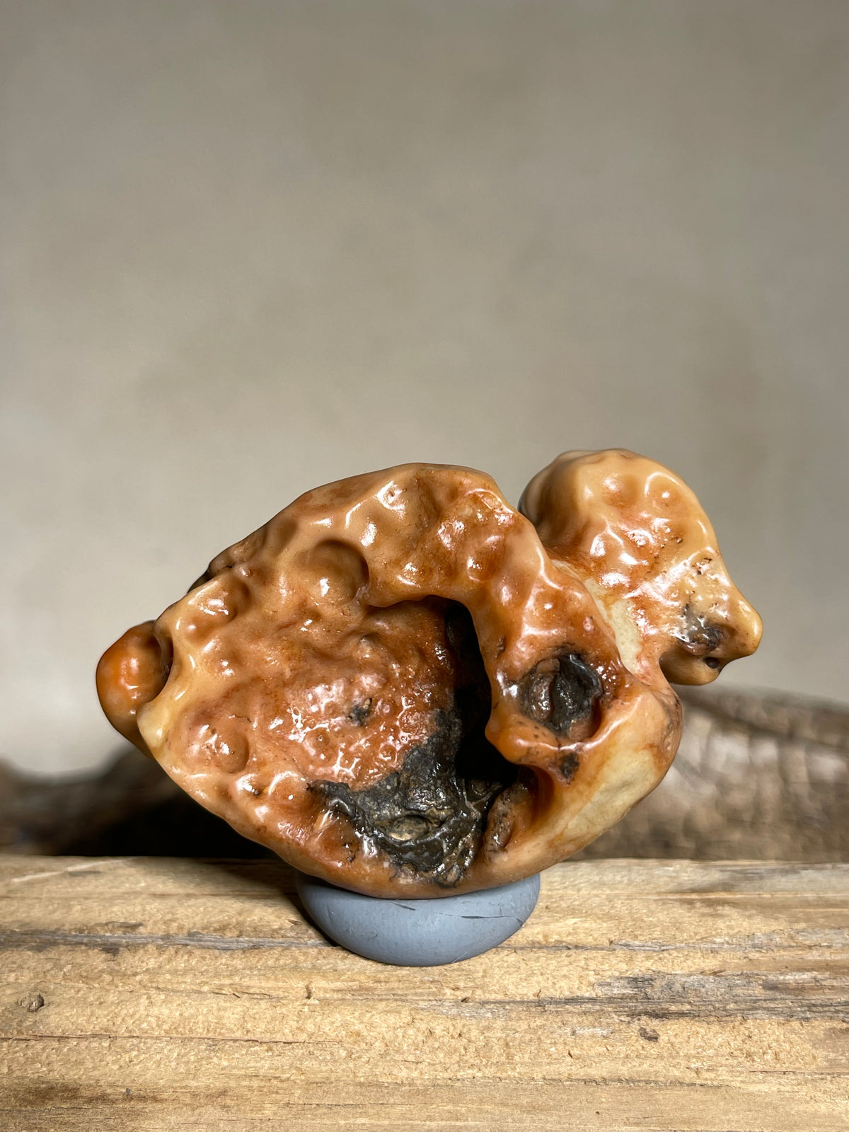 (1119)Natural Alxa Gobi Desert Varnish Stone - Bird-like Mimetolith