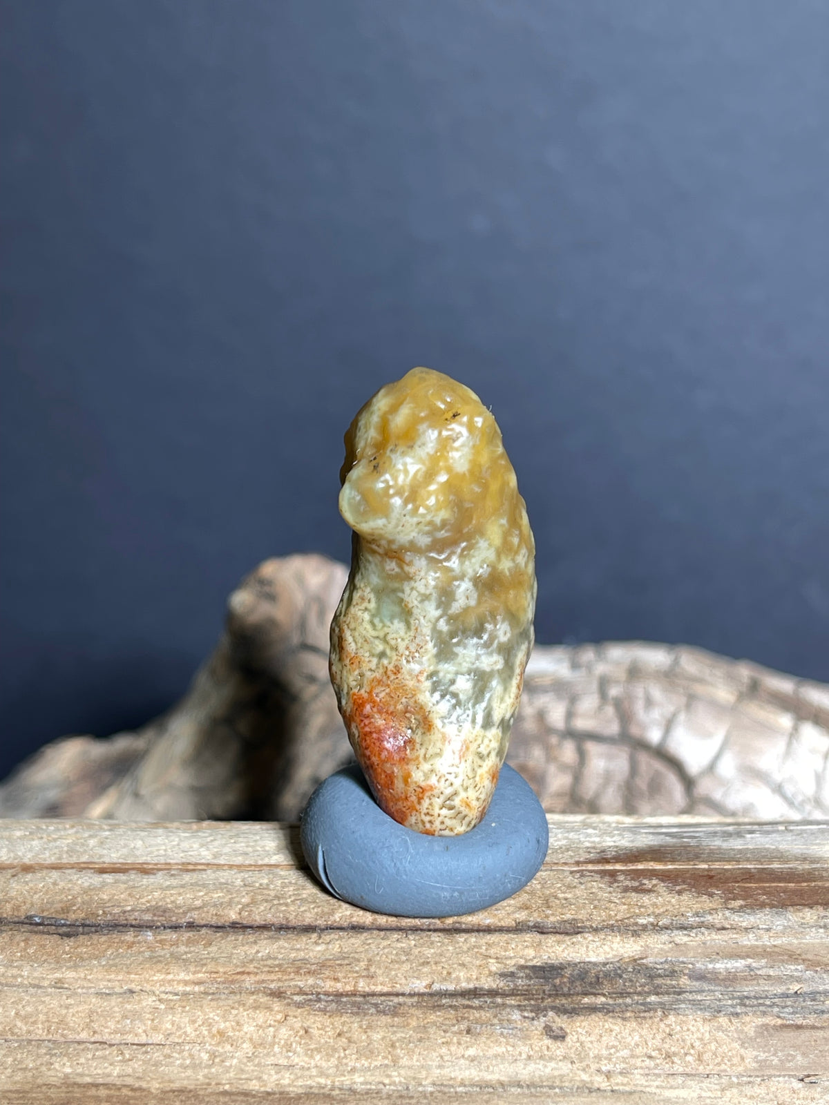 (1005)Natural Alxa Gobi vein Agate with Dendritic Patterns
