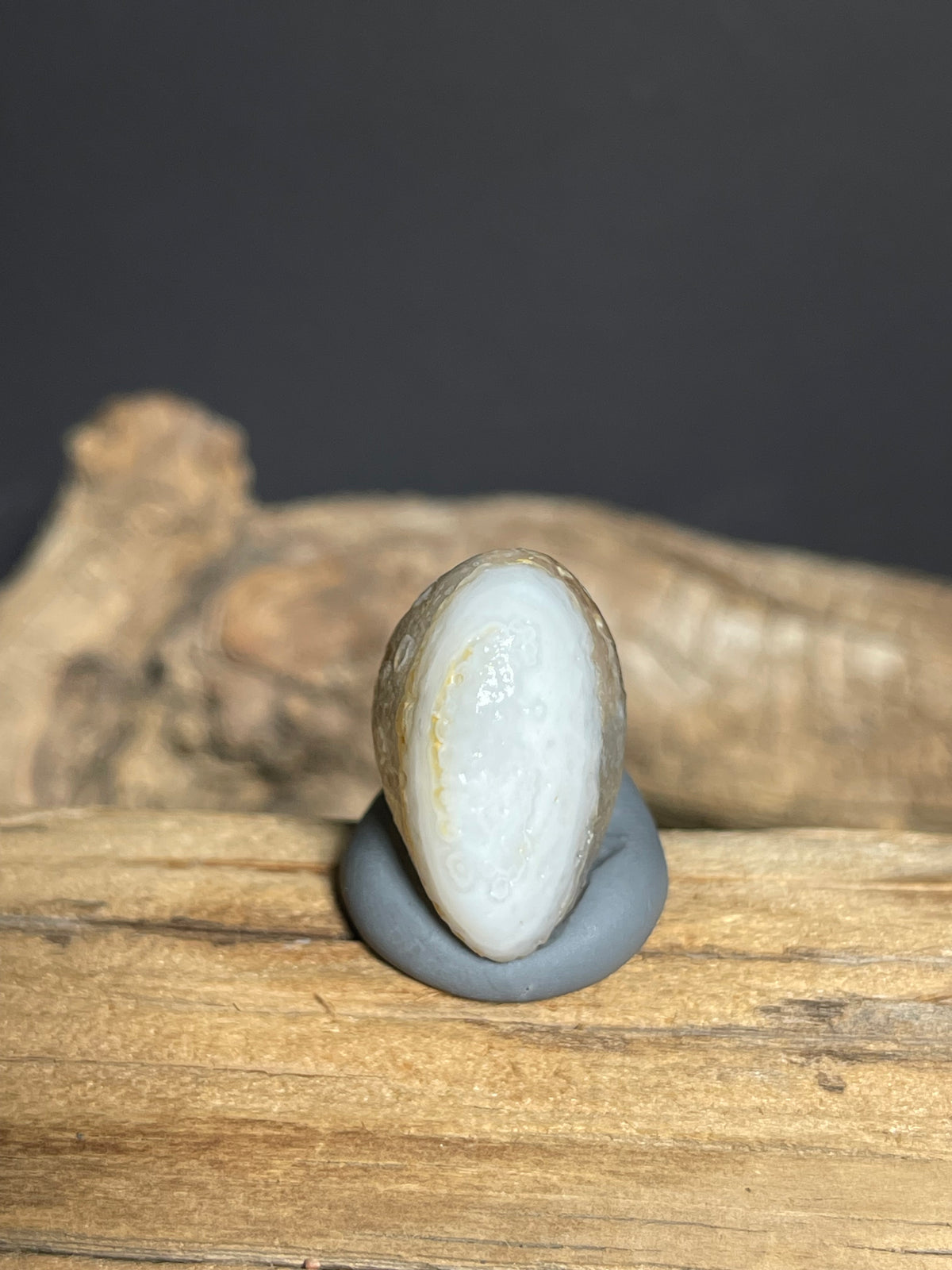 (1060)Natural Alxa Gobi Eye Agate - Fish-Shaped Mimetolith