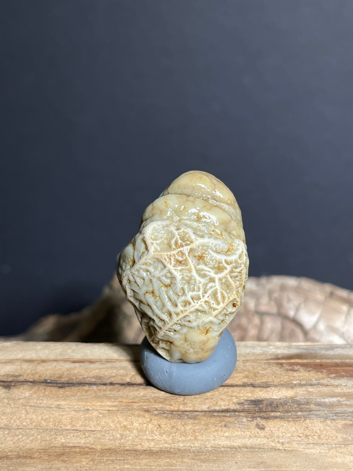 (1004)Natural Alxa Gobi Vein Agate with Lattice Pattern