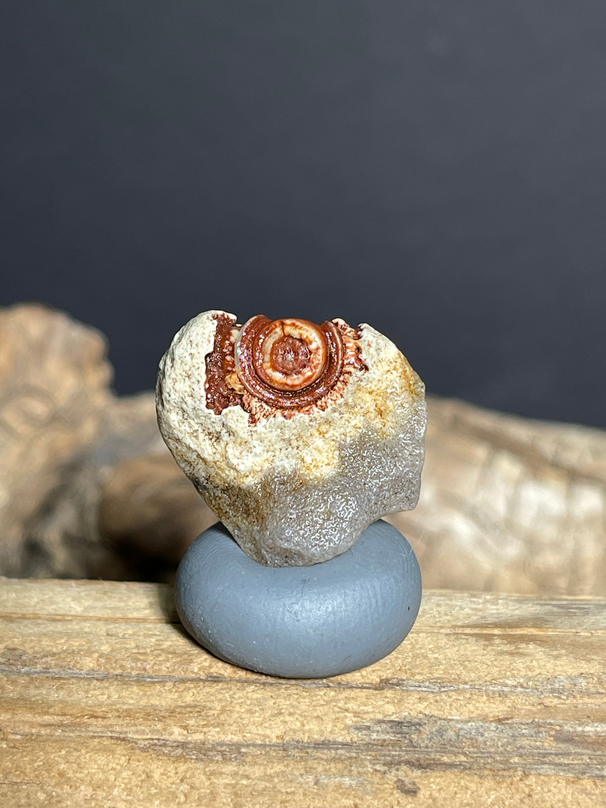 (1087)Natural Alxa Gobi Desert Eye Agate - Single Raised Red Eye