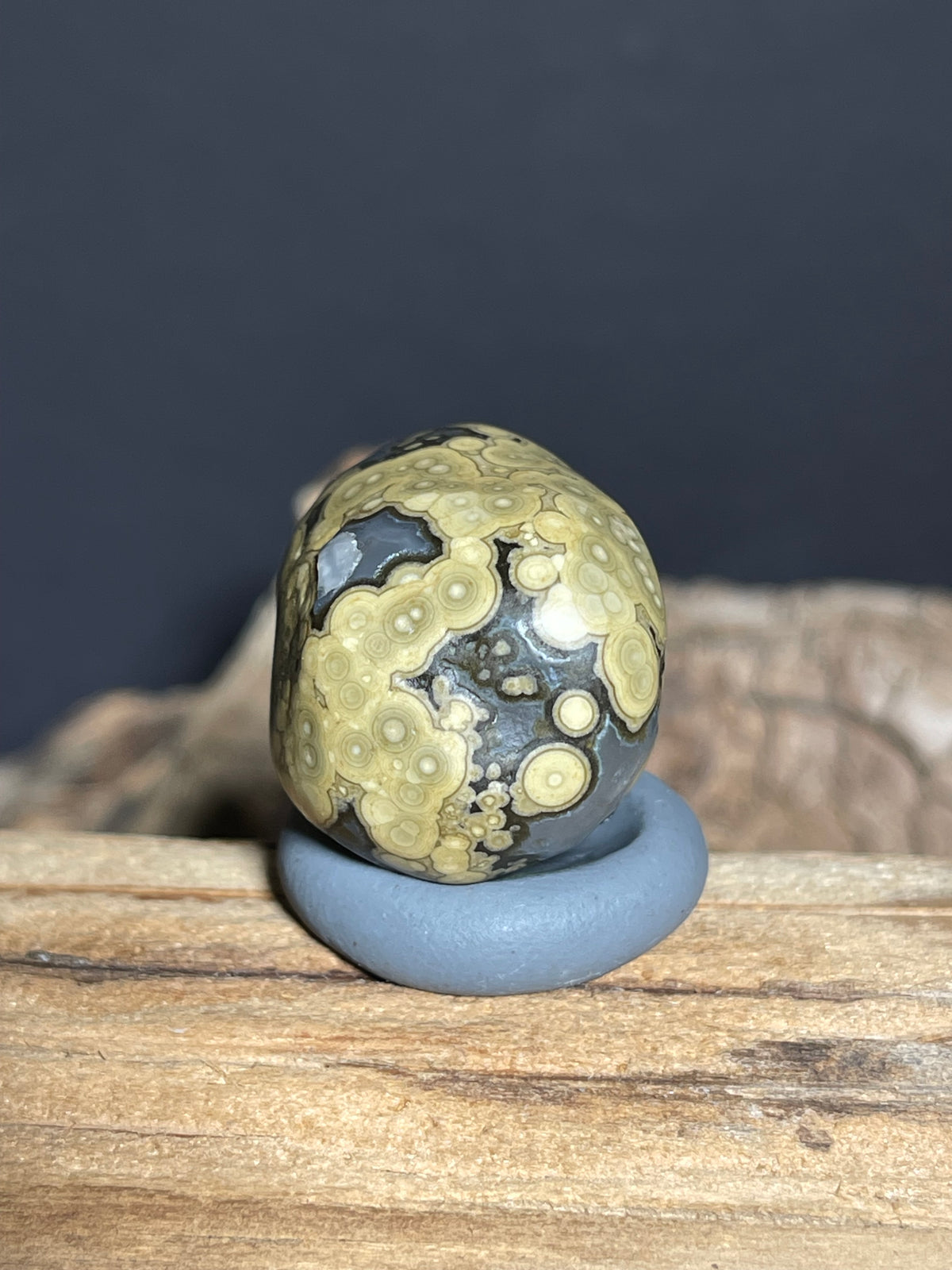 (1019)Natural Alxa Gobi Multi-Eye Agate - Yellow Orbicular Patterns