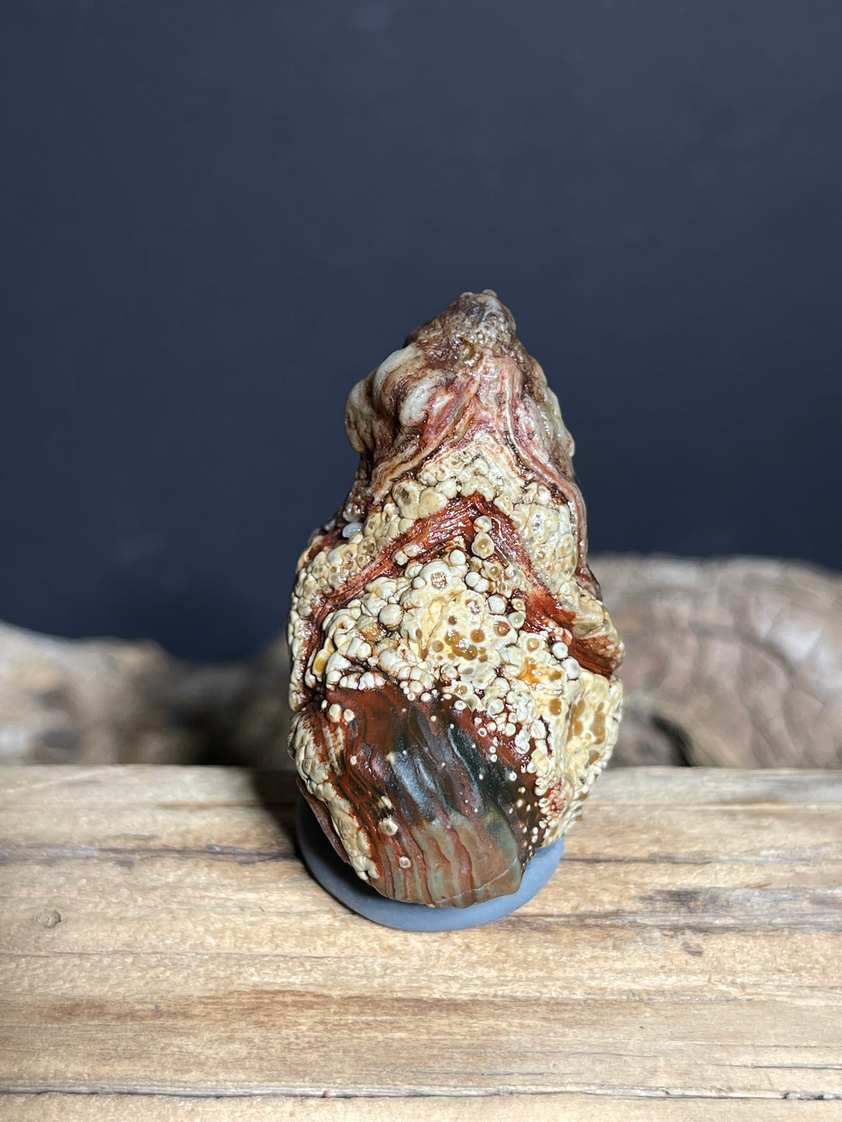 (1022)Natural Alxa Gobi Eye Agate - Raised Eye with Botryoidal Texture
