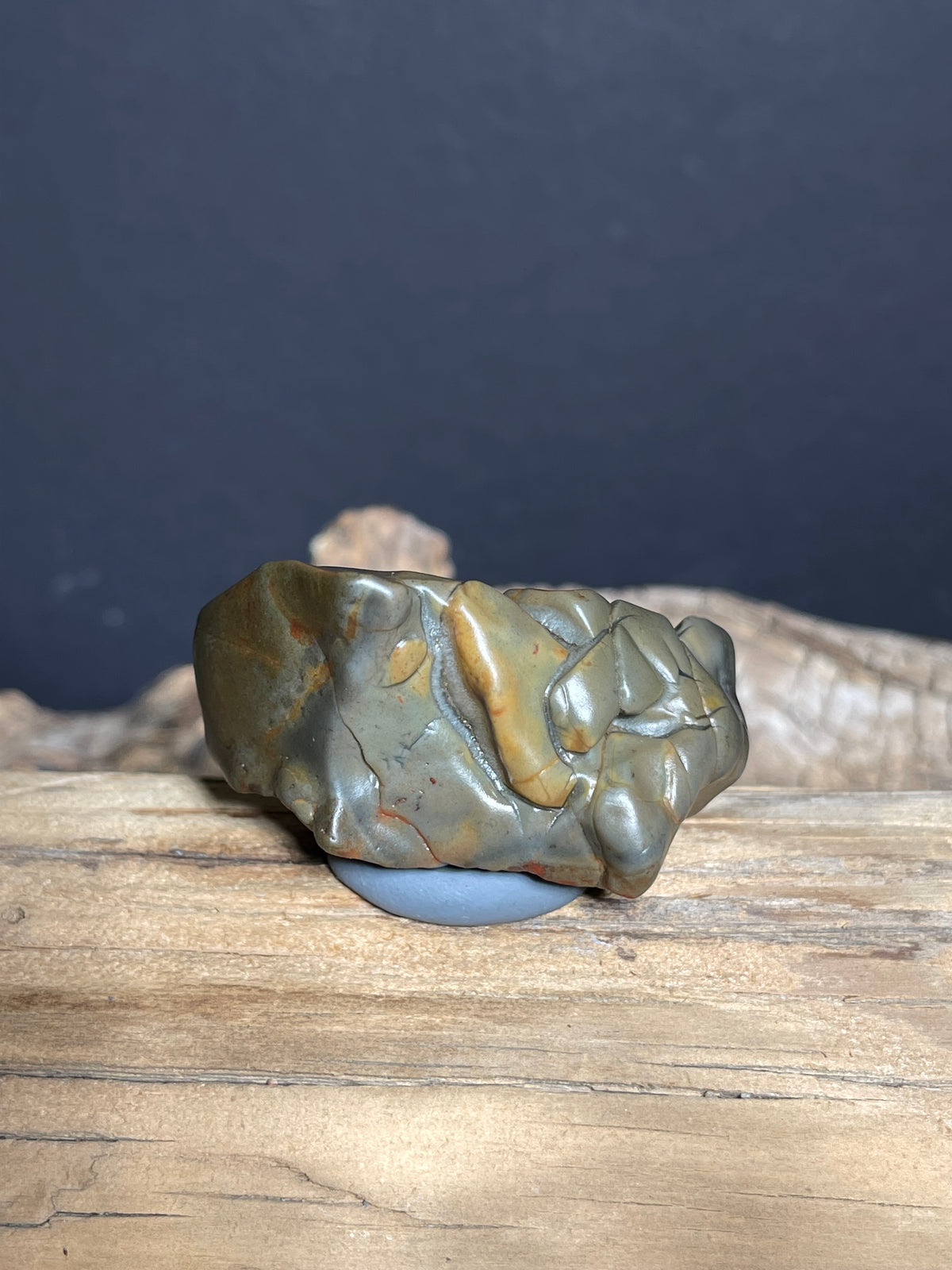 (1047)Natural Alxa Gobi Agate - “Horse Teeth” Sculpture Desert Stone