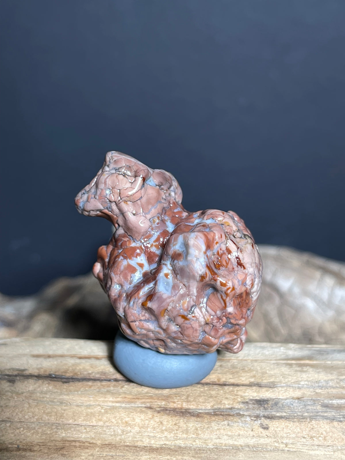 (1036)Natural Alxa Gobi Agate - Animal-Like Stone