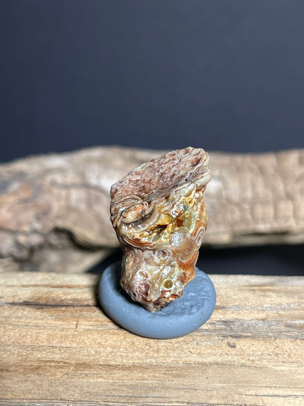 (1079)Ntural Alxa Gobi Eye Agate - Multi-Eye Animal-Like Formation