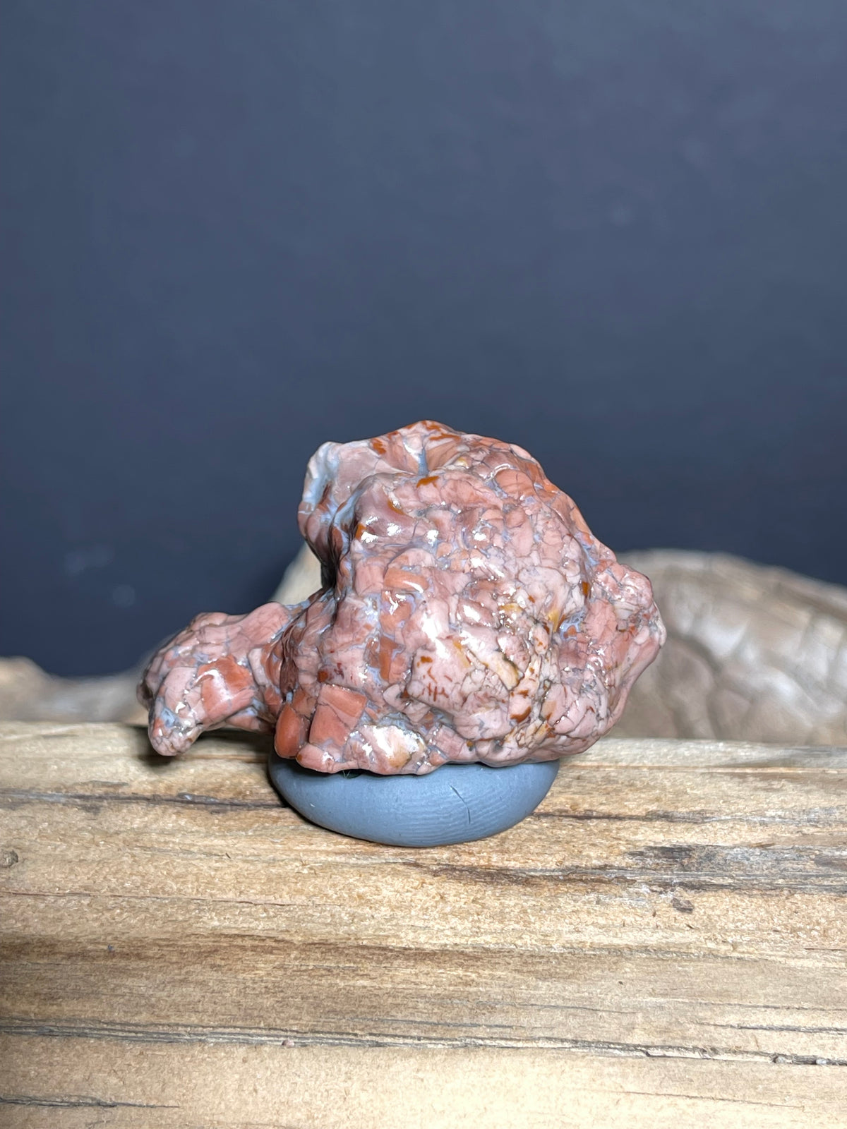 (1036)Natural Alxa Gobi Agate - Animal-Like Stone