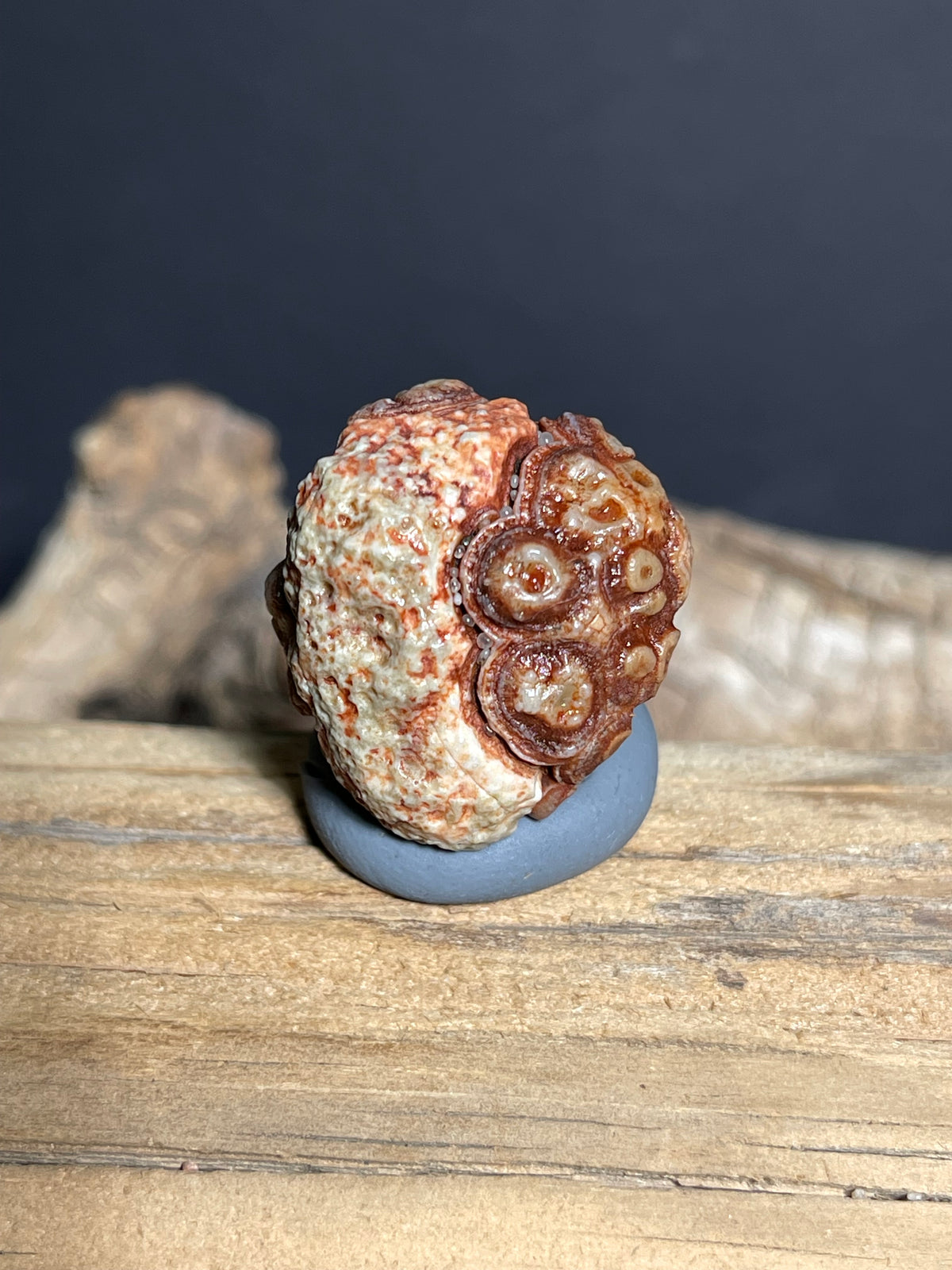 (1086)Natural Alxa Gobi Eye Agate -Multi-Eye orbicular Pattern