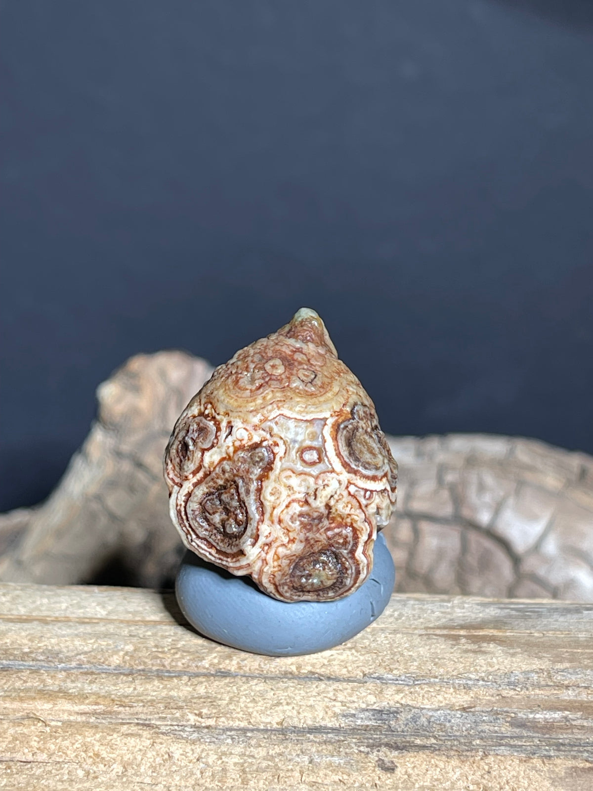 (1103)Alxa Gobi Desert Eye Agate - Natural Multi-Eye Orbicular Agate with Concentric Rosette
