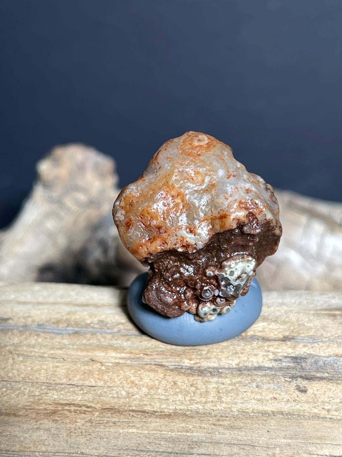 (1081)Natural Alxa Gobi Eye Agate - Animal-Like Single Eye Formation