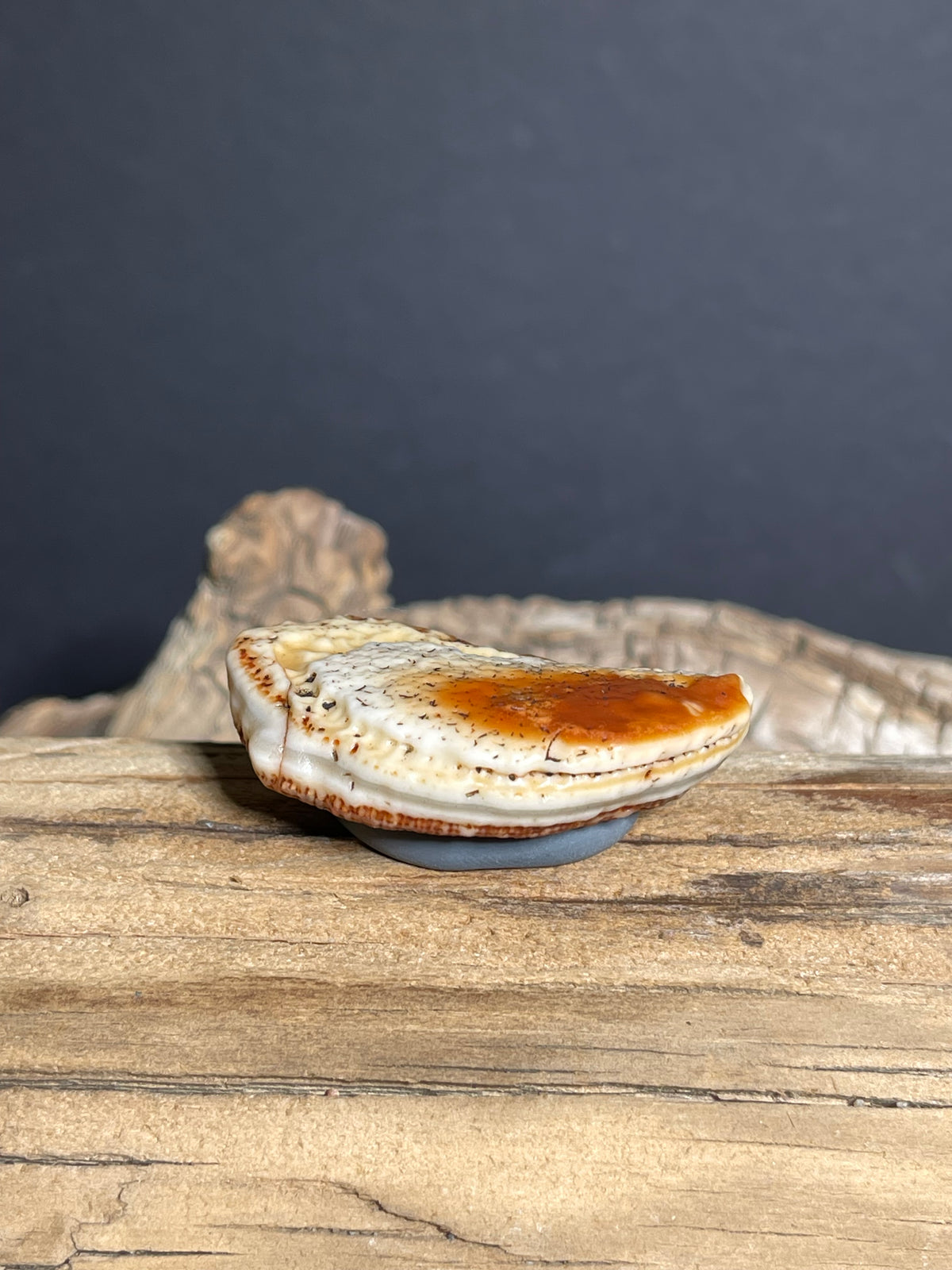 (1007)Alxa Gobi Agate with Black Dendritic Inclusions - Natural Desert Varnish Stone