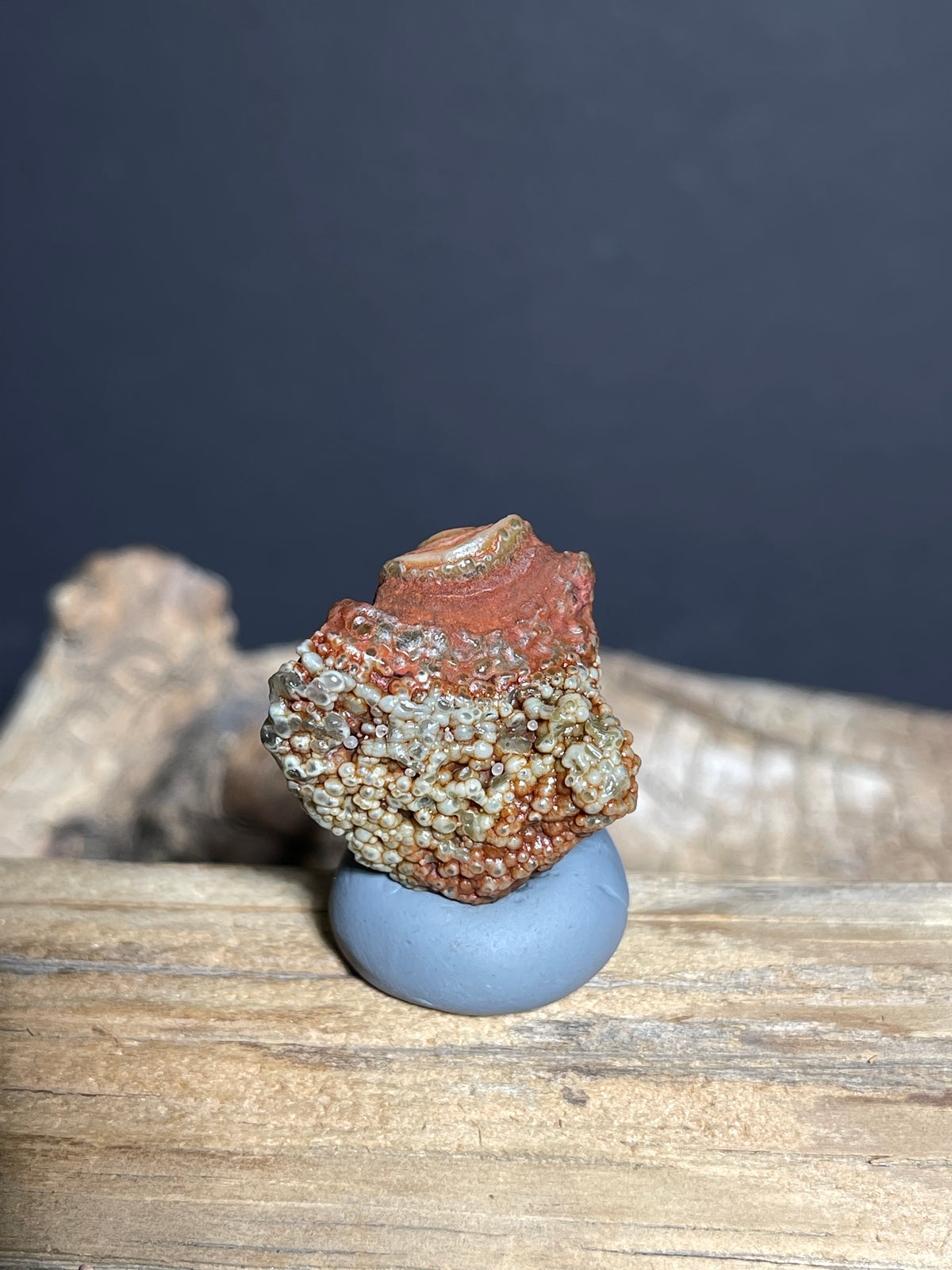 (1090)Natural Alxa Gobi Eye Agate - Red Orbicular Eye with Botryoidal Texture