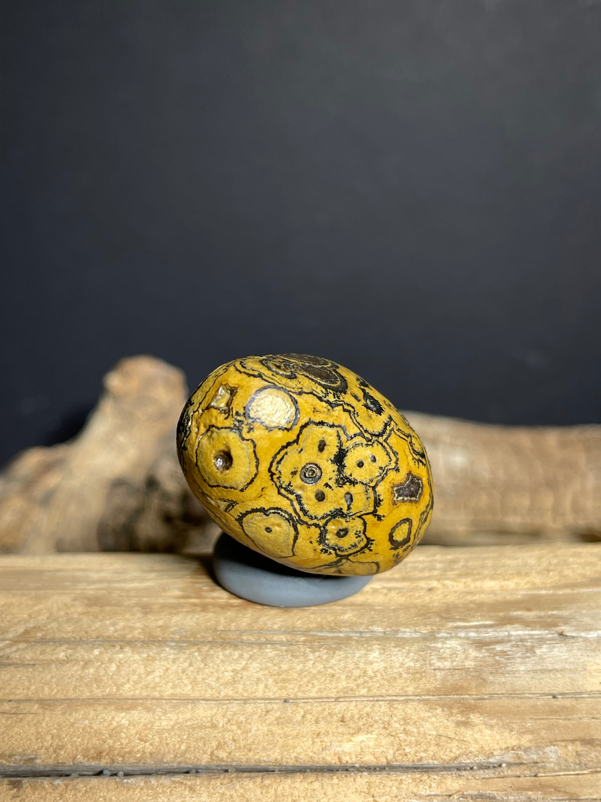 (1133) Natural Alxa Gobi Eye Agate – Golden Orbicular Patterns& Face-Like Mimetolith