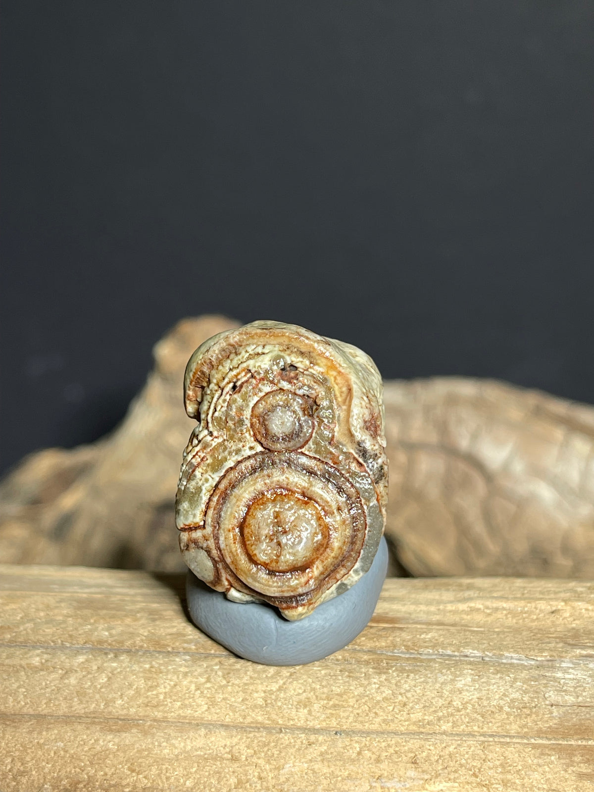 (1129) Natural Alxa Gobi Red Eye Agate -  Concentric Eye & Buddha-like Figure