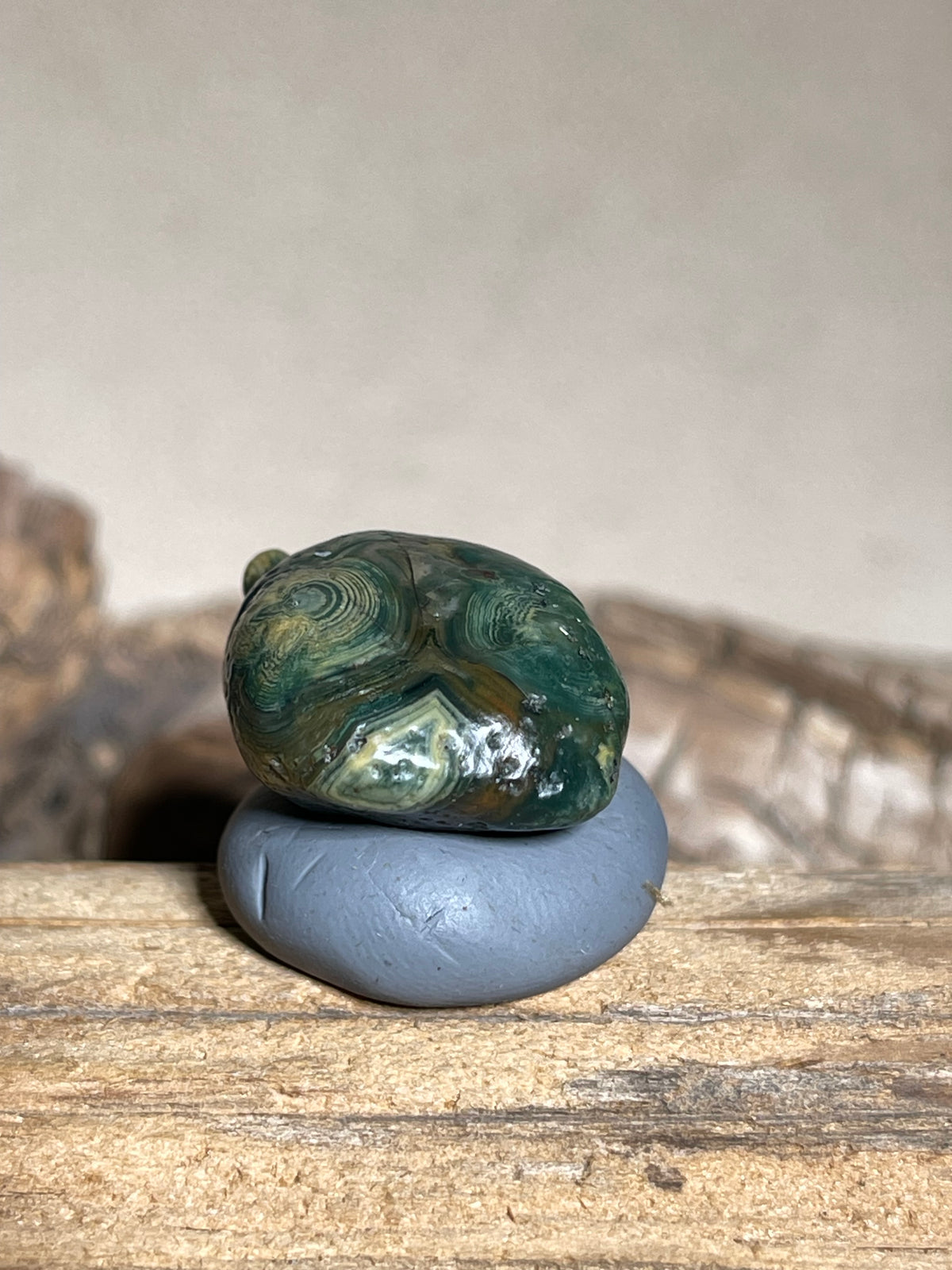 (1116)Natural Alxa Gobi Green Eye Agate - Multiple Concentric Orbicular Patterns