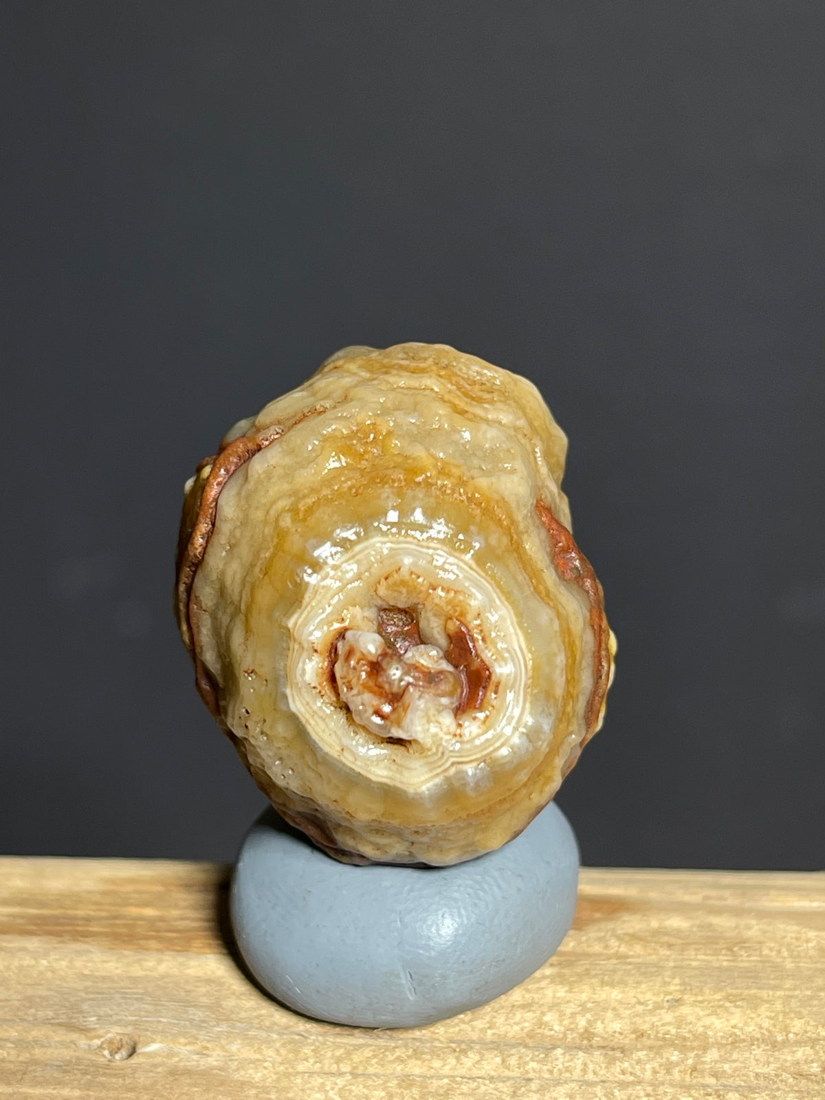 (1137) Natural Alxa Gobi Eye Agate specimen- fish-roe texture& concentric Eye pattern
