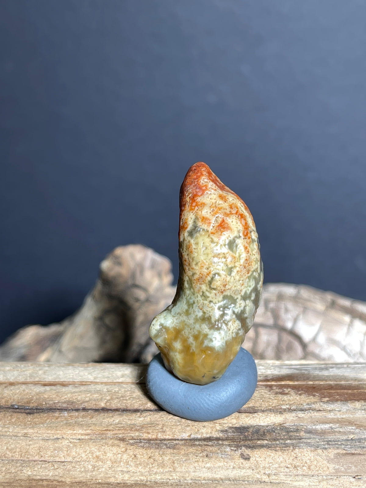 (1005)Natural Alxa Gobi vein Agate with Dendritic Patterns