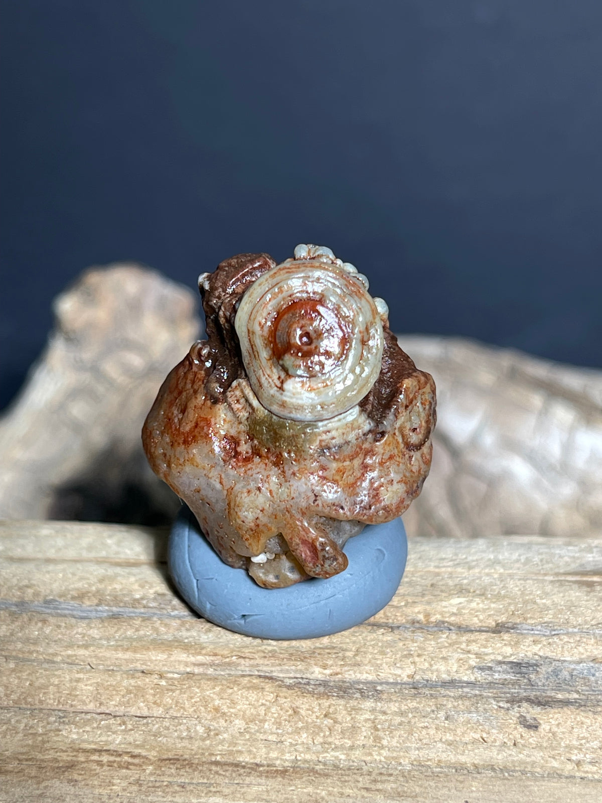 (1081)Natural Alxa Gobi Eye Agate - Animal-Like Single Eye Formation
