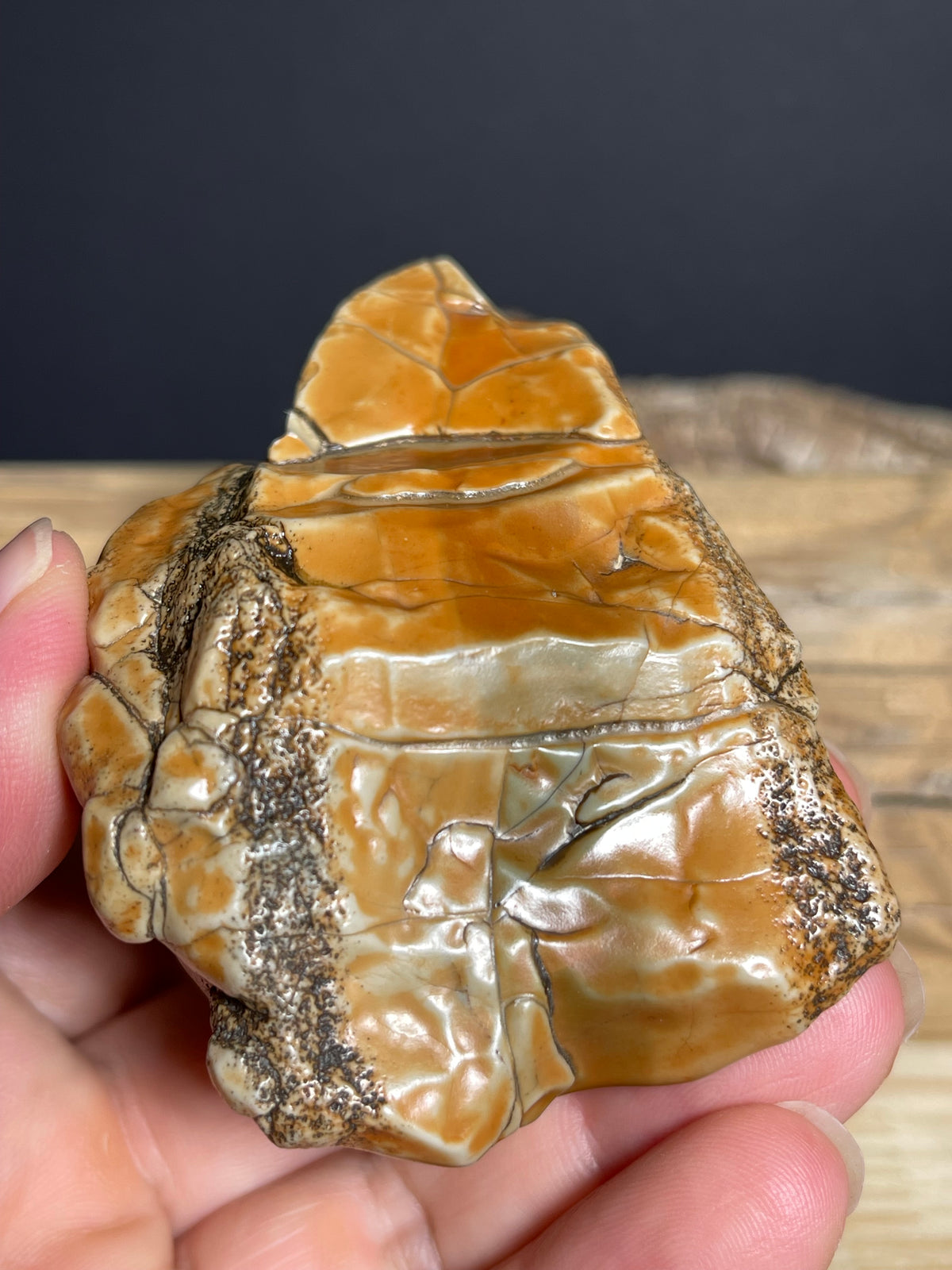 (1134) Alxa Gobi Desert Stone- Natural Desert Varnish& weathered surface
