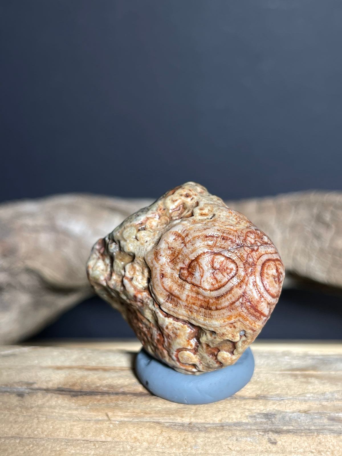 (1068)Natural Alxa Gobi Eye Agate - Large Orbicular Eye with Multi-Eye Pattern