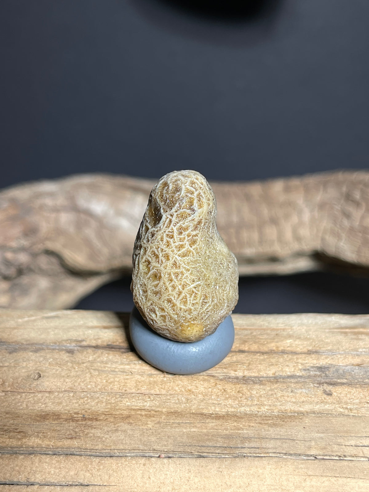 (1065)Natural Alxa Gobi Vein Agate - Dense Branching Vein Patterns
