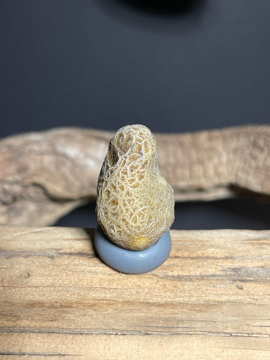 (1065)Natural Alxa Gobi Vein Agate - Dense Branching Vein Patterns