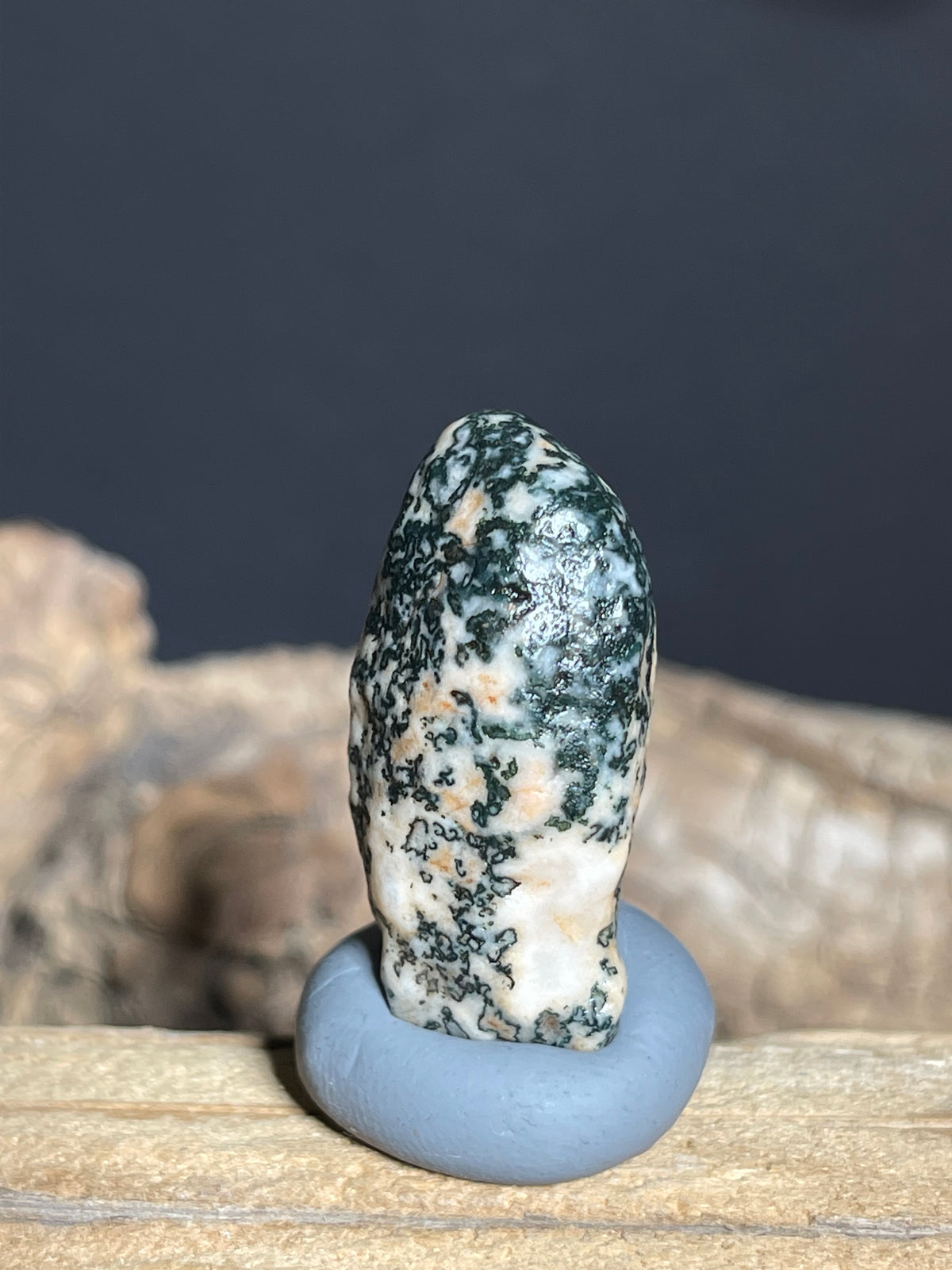 (1107)Natural Alxa Gobi Agate - Black Dendritic Pattern Collector stone