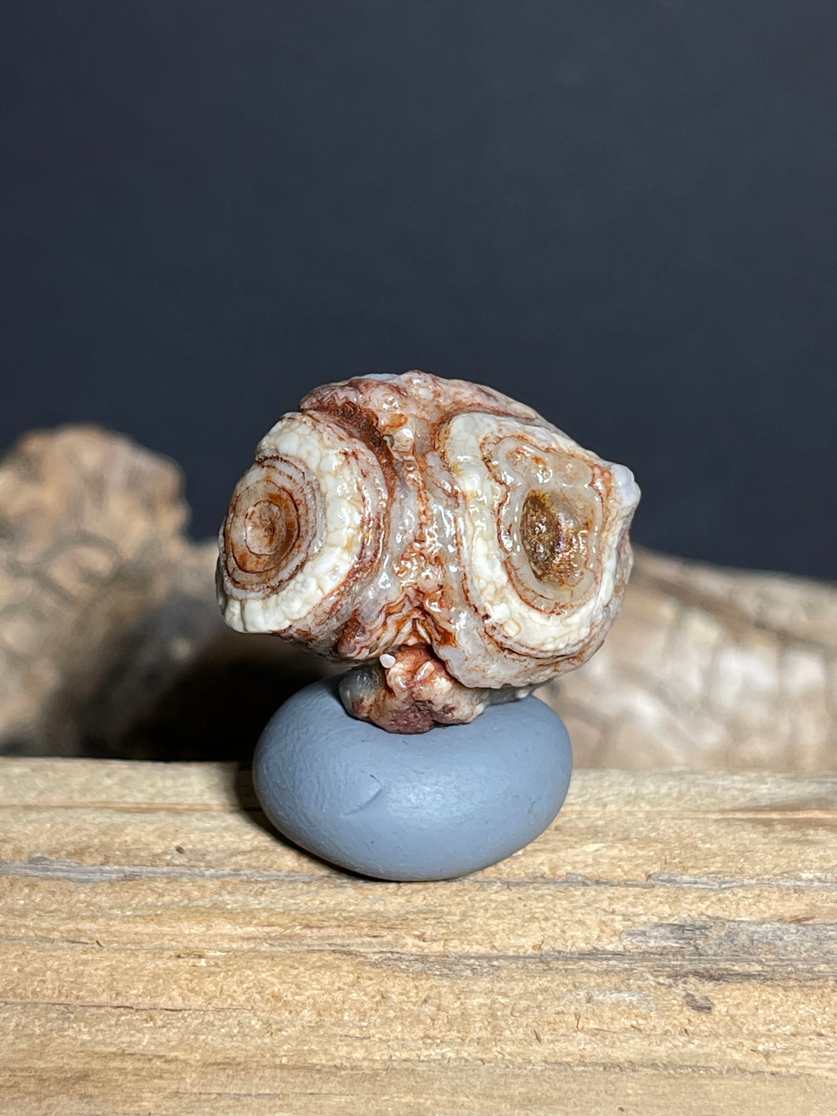 (1097)Natural Alxa Gobi Eye Agate Specimen- Cute Owl-Like Double Eye Pattern